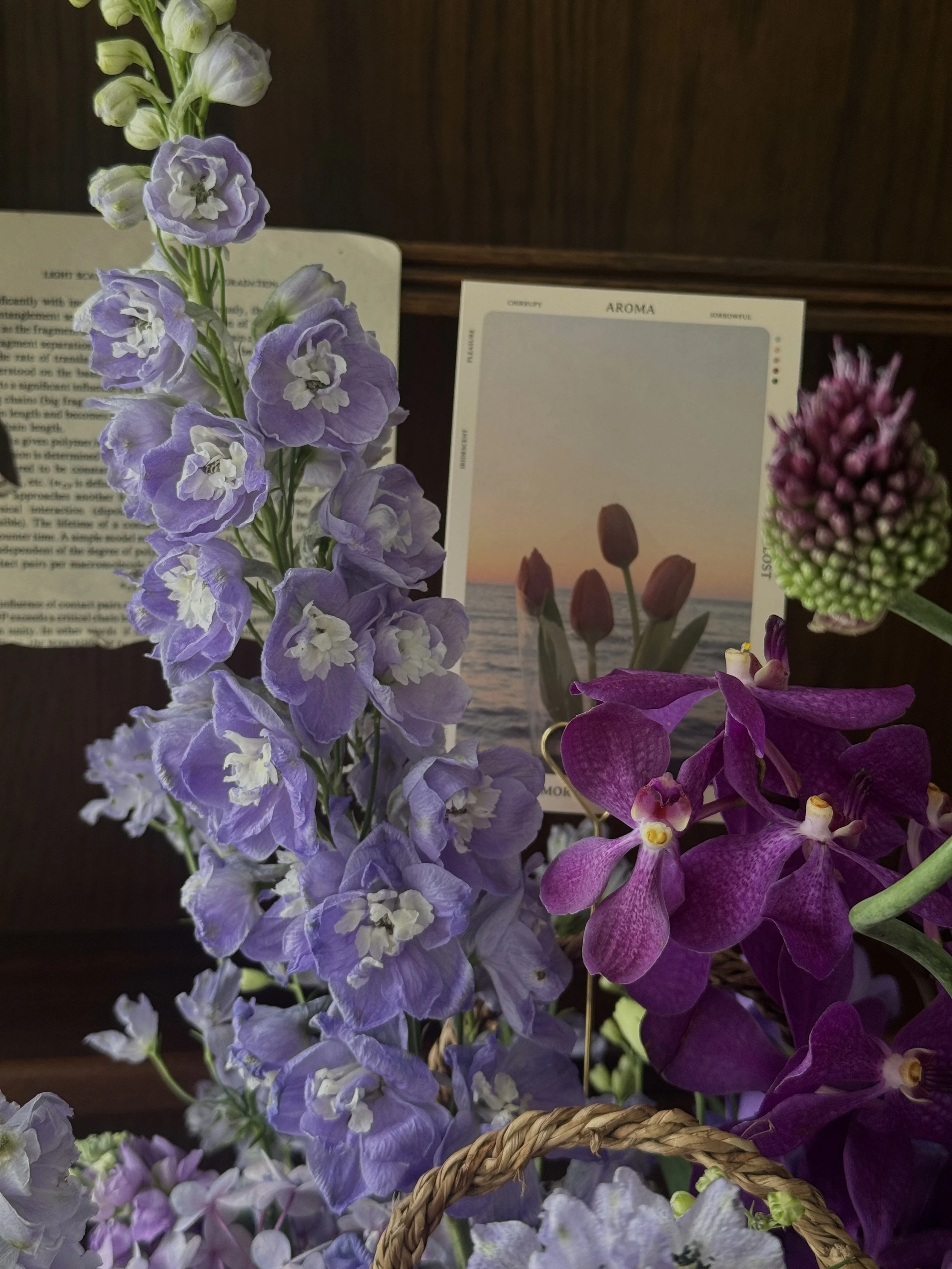 image00003.jpeg
