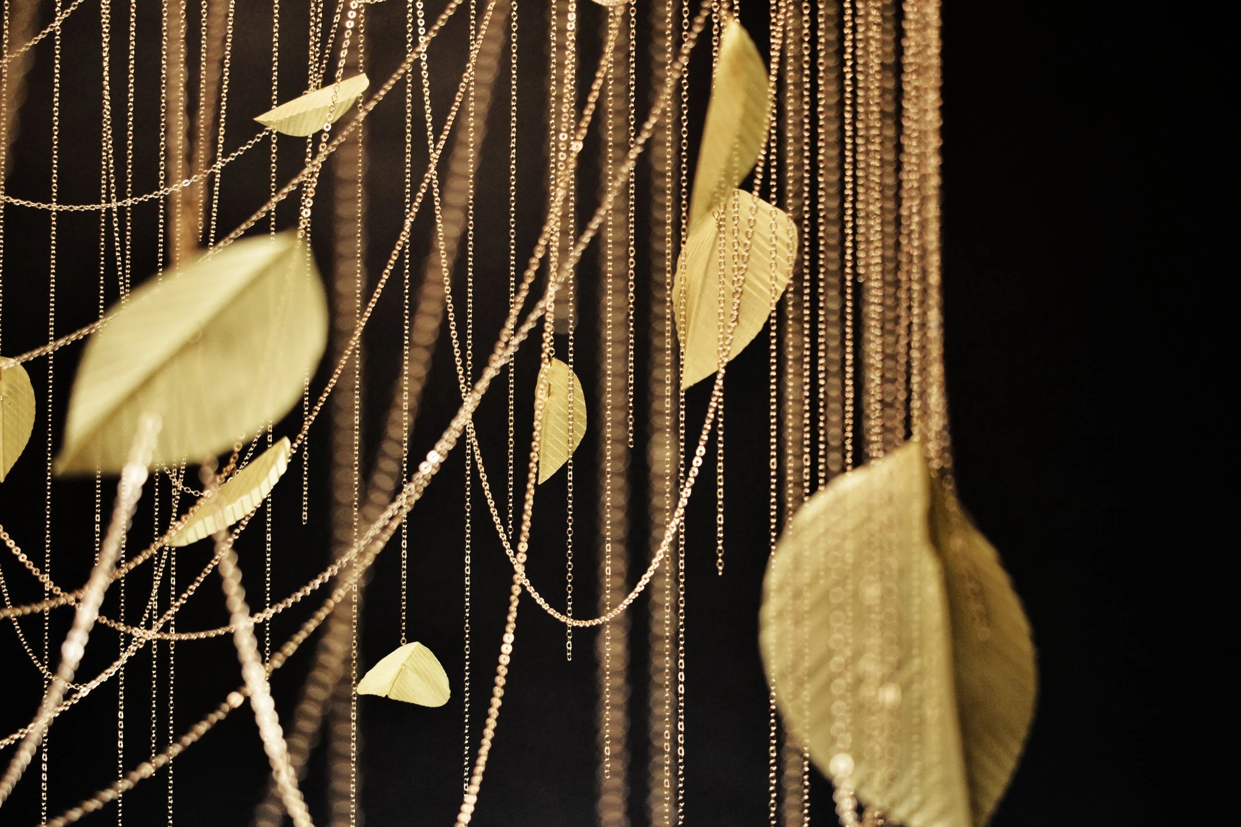LaroseGuyon_Celeste d'Automne (14).jpg