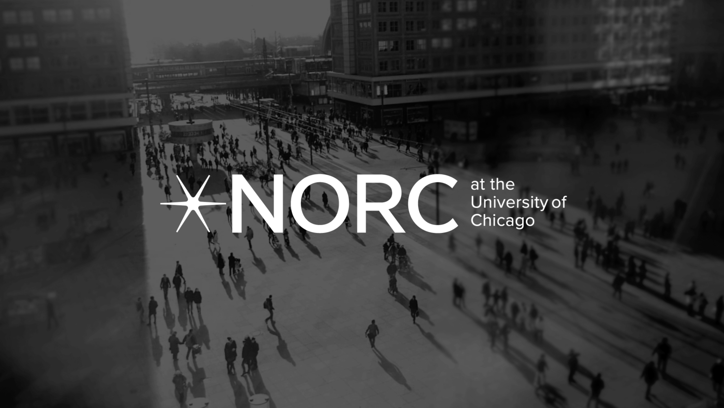 NORC Motion Branding