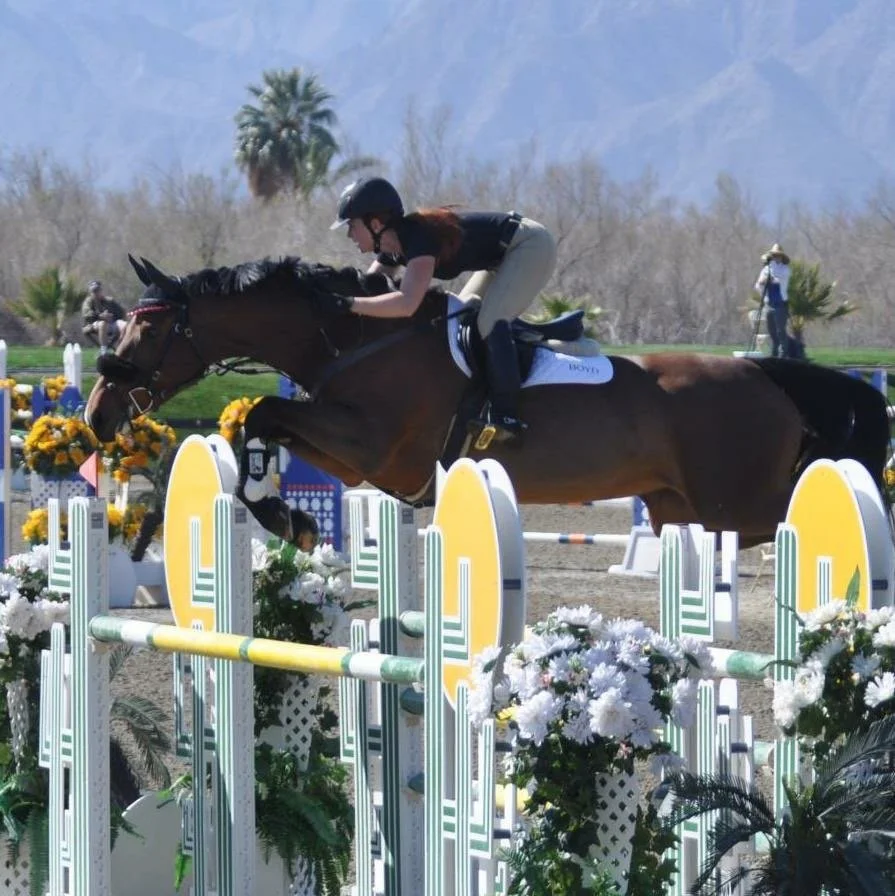 A female horseback rider jumping over a hurdle in a horse jumping competition, with mountains in the background.