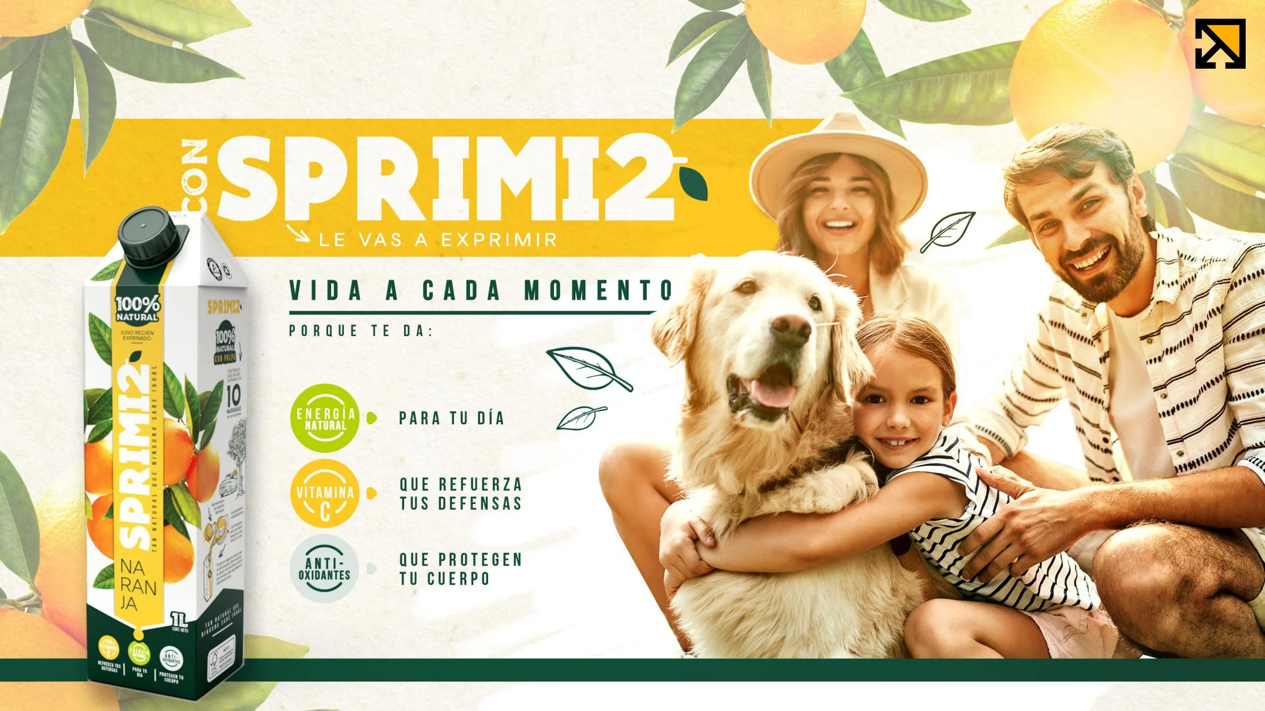 Limbica_pdf.pptx_page-0006.jpg