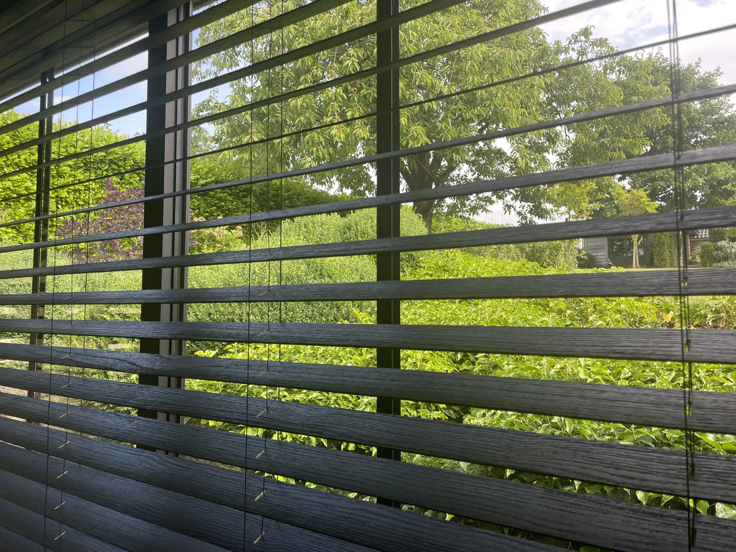View through window blinds showing green trees and blue sky outside.