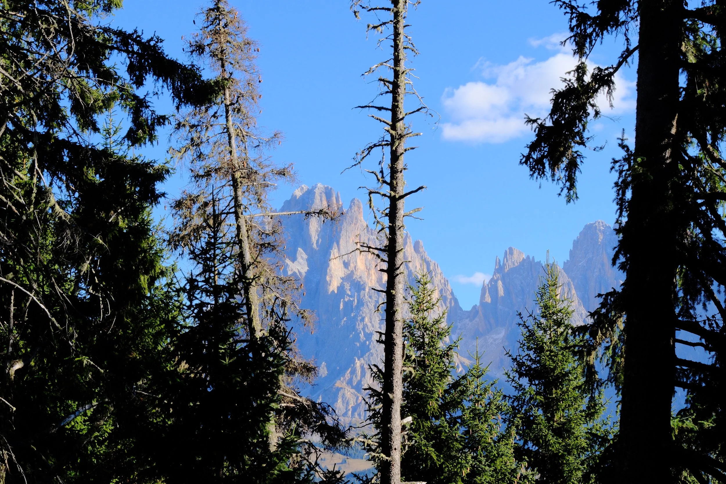 DSCF3714.JPG