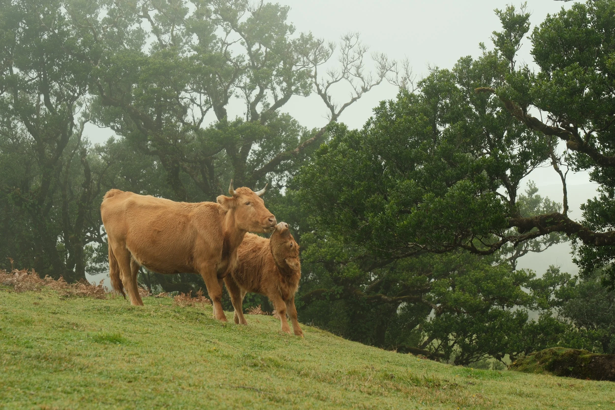 DSCF5428.JPG