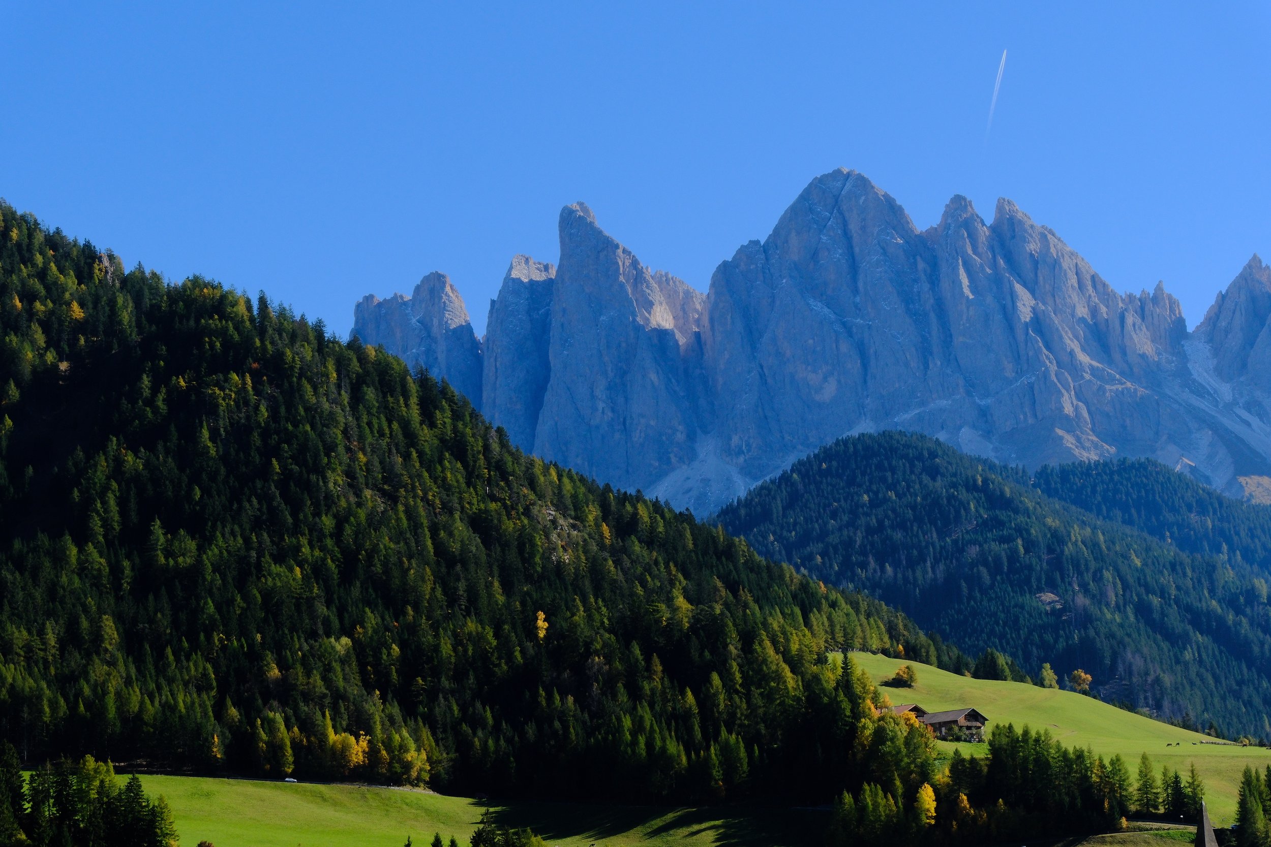 DSCF3456.JPG