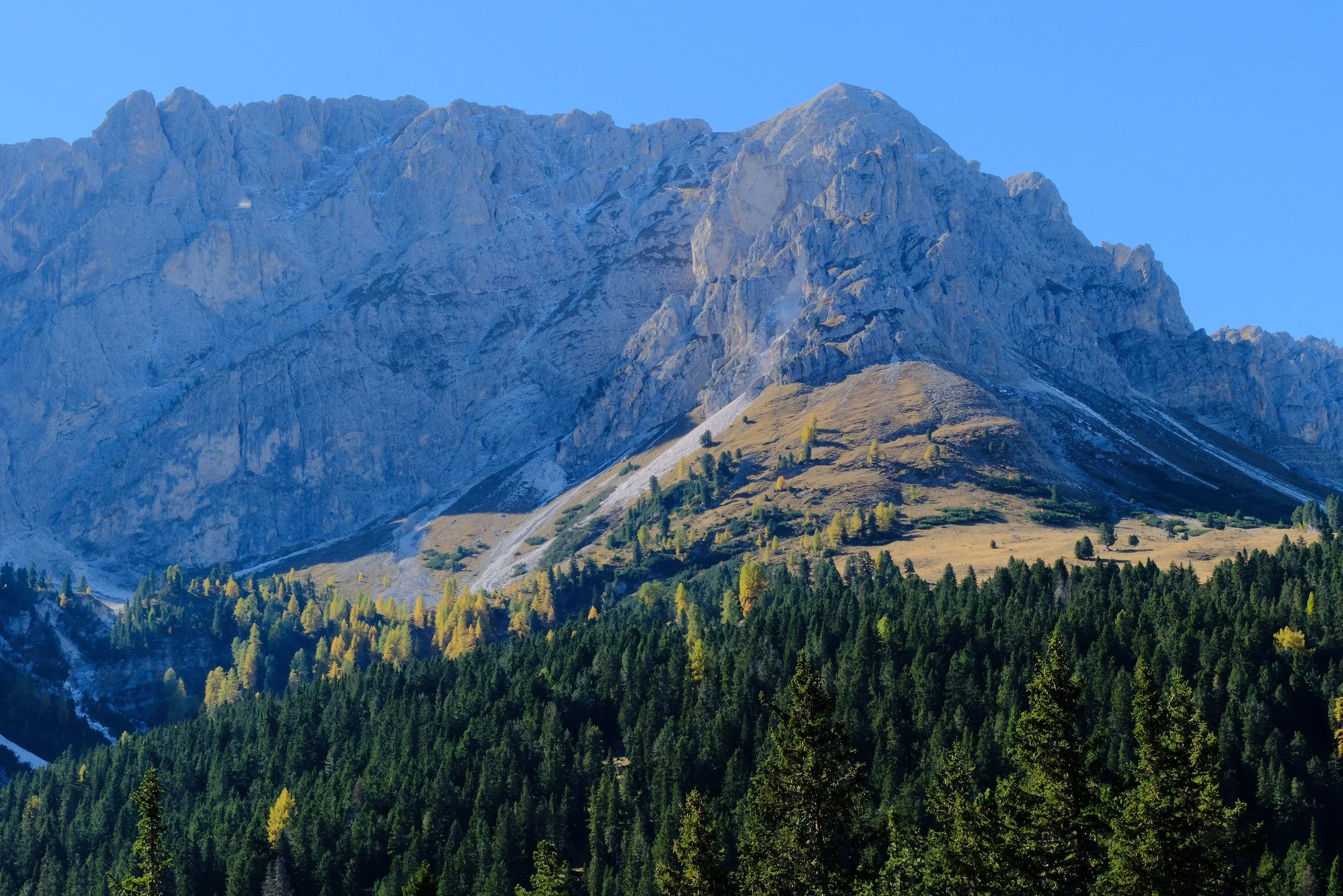 DSCF3246.JPG