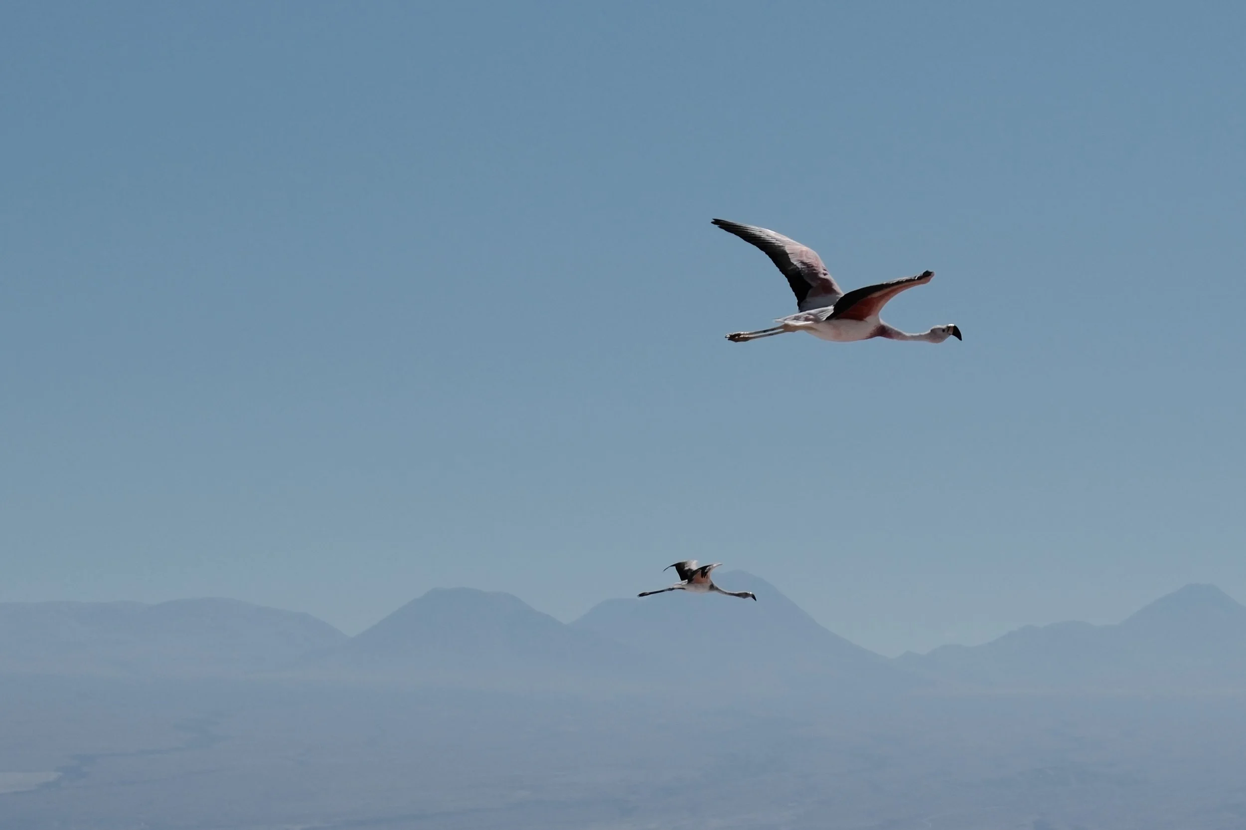 DSCF6418.jpg