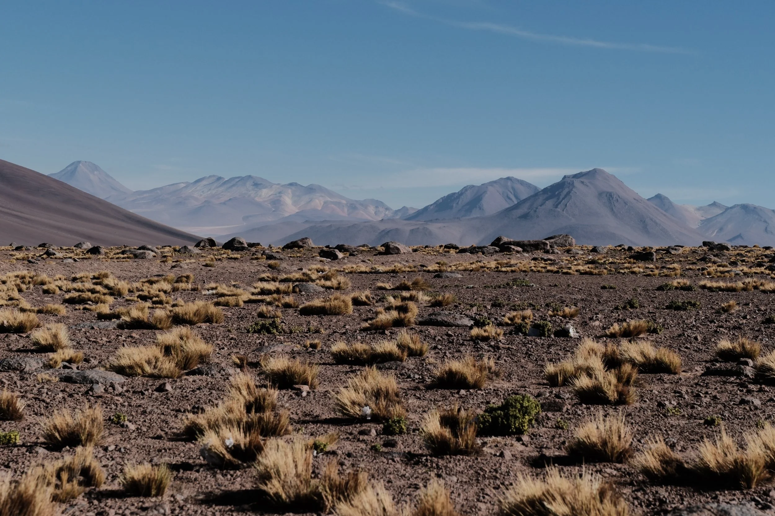 DSCF6822.jpg