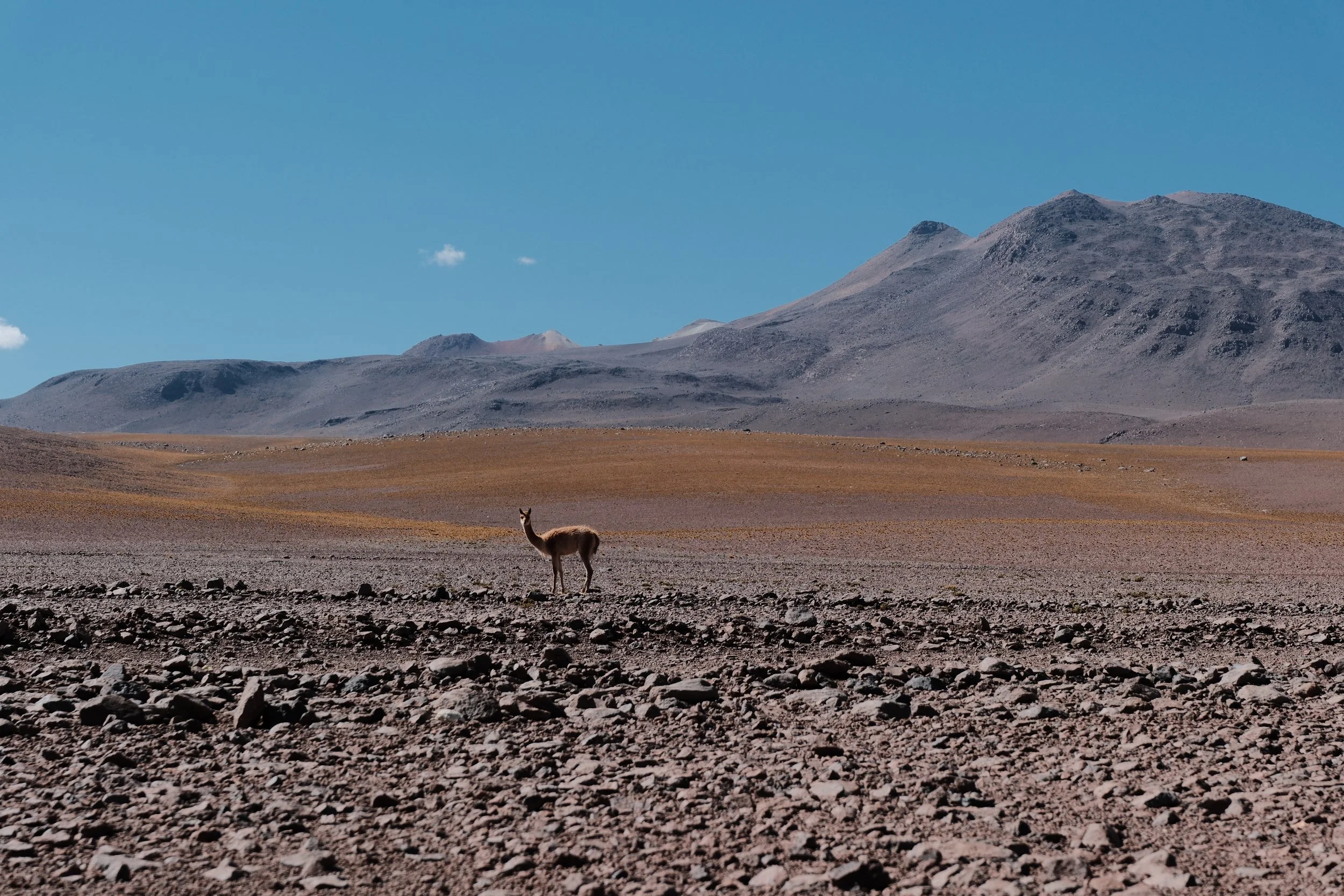 DSCF6877.JPG