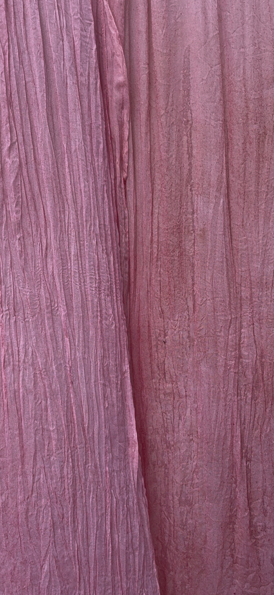 IMG_2494.png