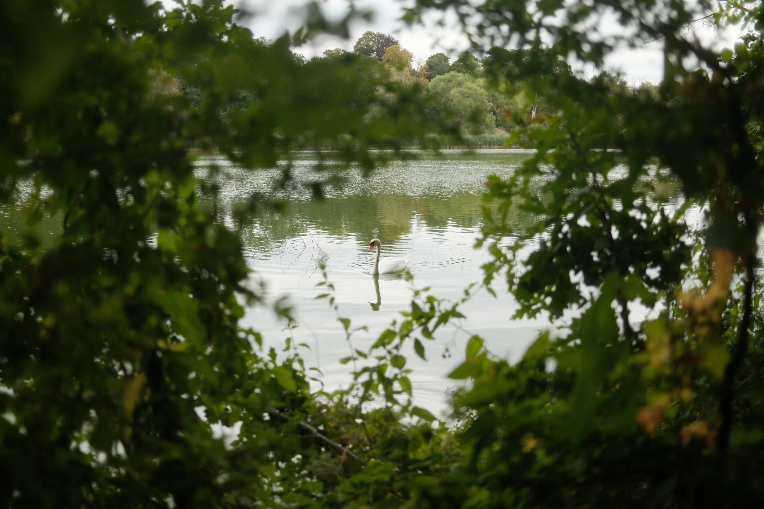 DSCF3426.JPG