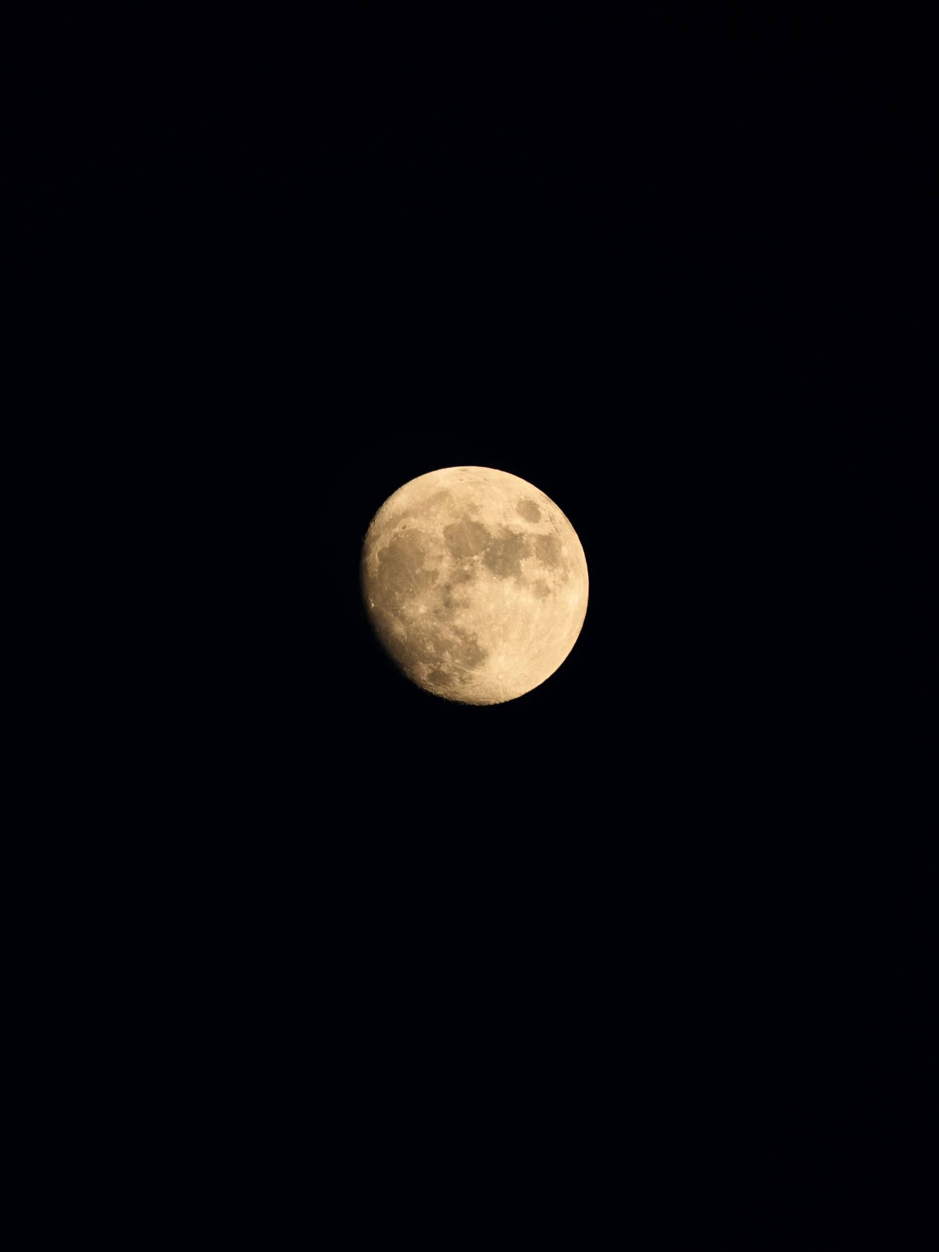 DSC01917.jpg