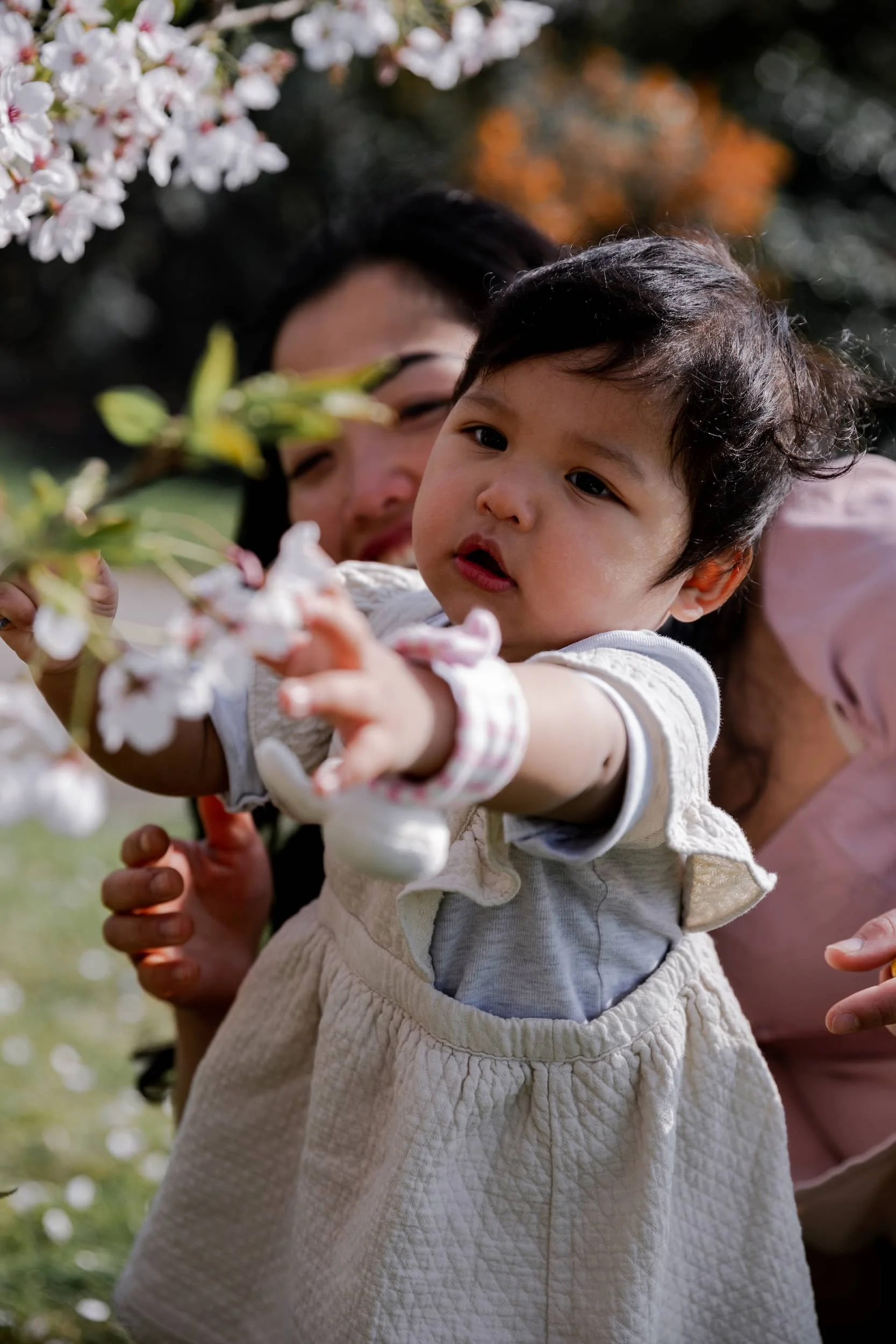 A young child reaching out to touch cherry blossoms with an adult woman nearby, outdoors in a park with blooming trees.
