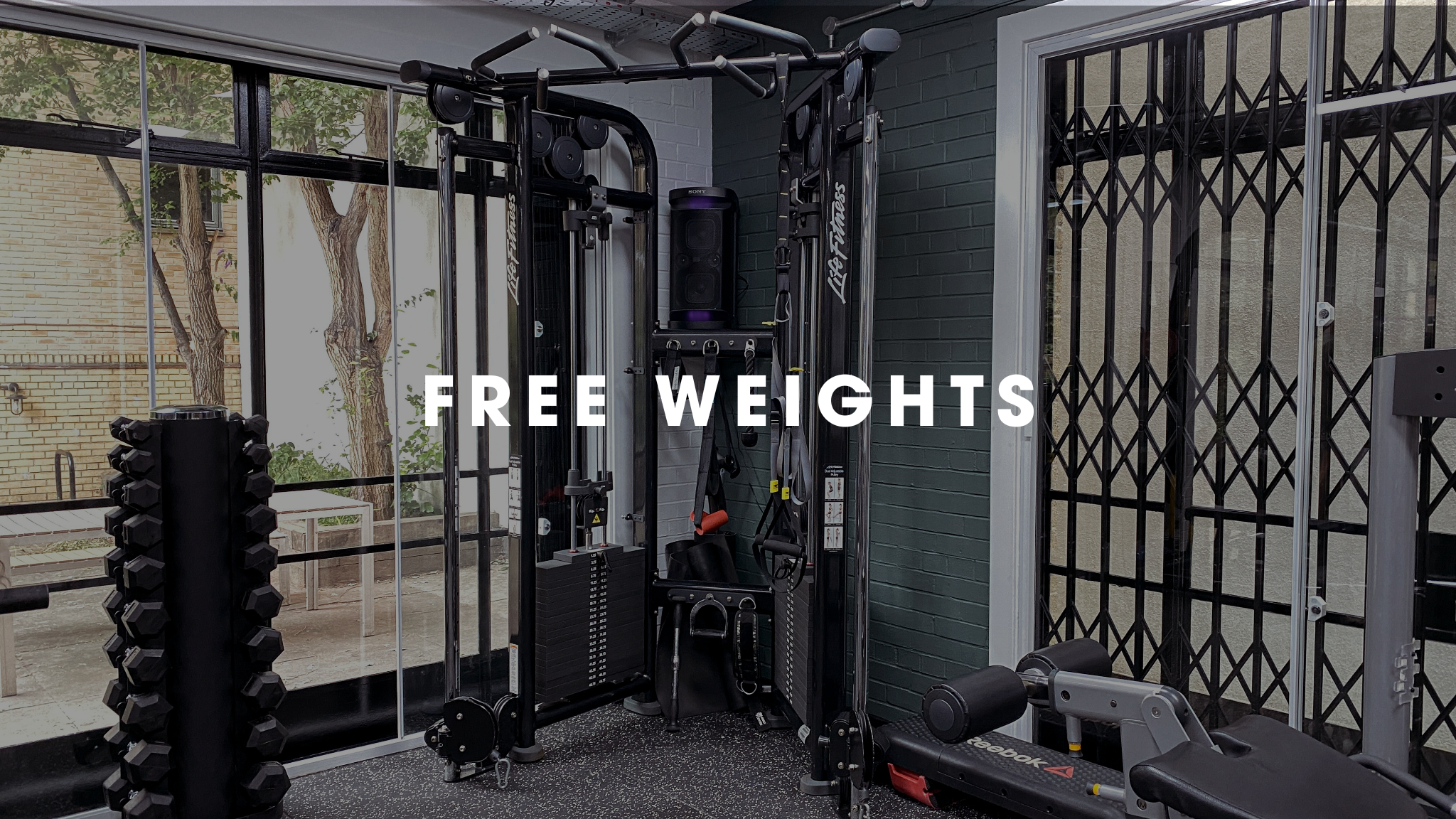 Indoor gym with free weights and exercise equipment, large windows, and a sign that says 'FREE WEIGHTS'.