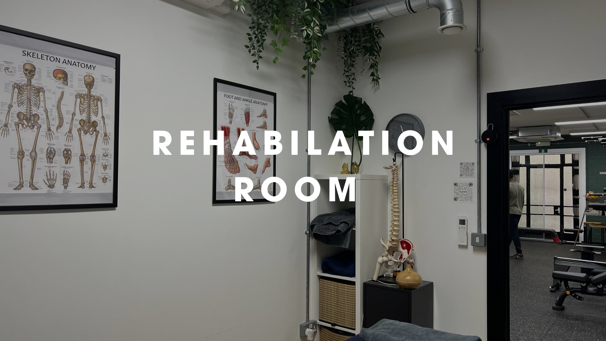 Interior view of a rehabilitation room with anatomical posters on the wall, a model of the human spine, plants, a clock, and exercise equipment visible in the background.