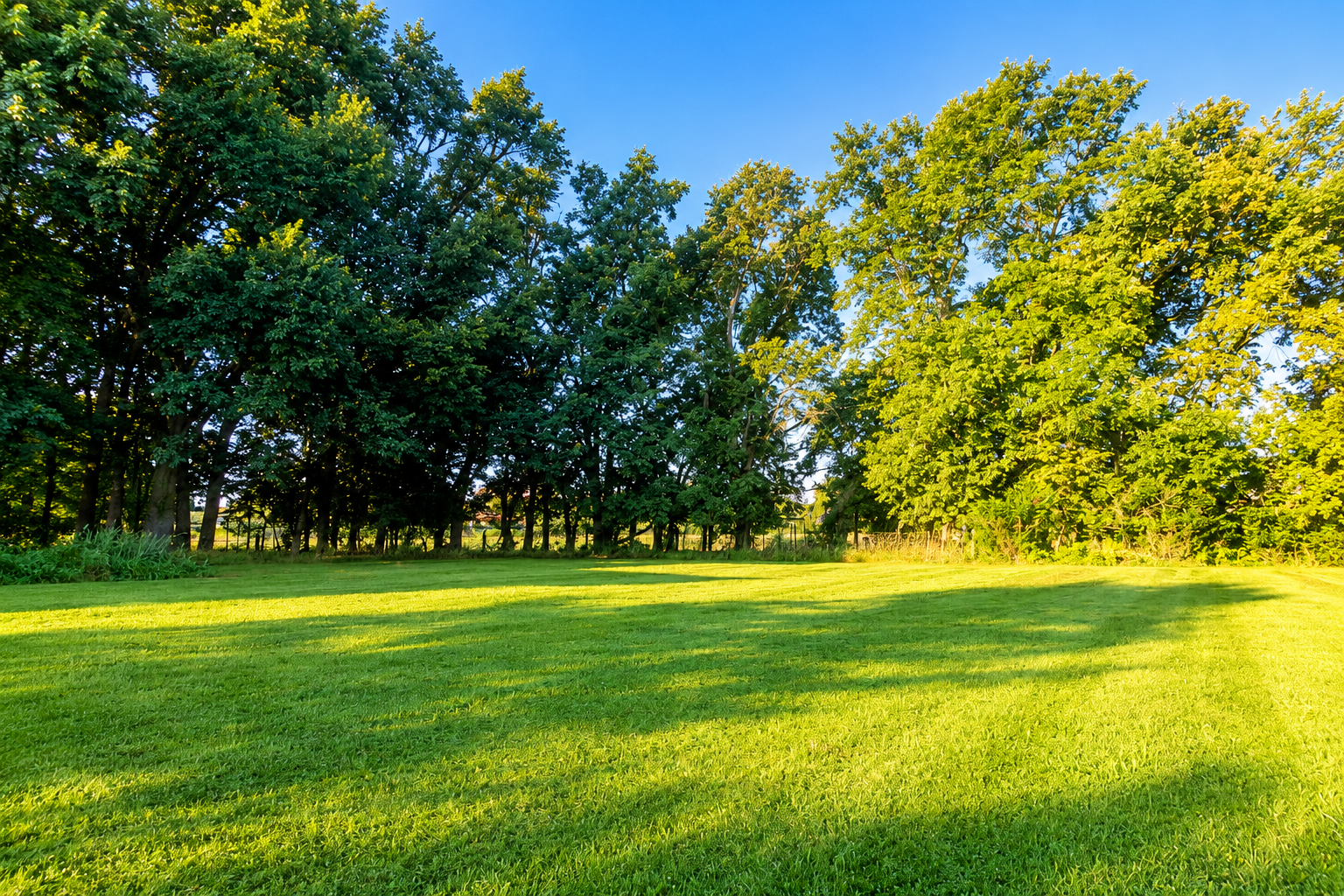 Songbird Haven Loudoun County, VA