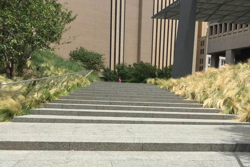 Wide outdoor concrete staircase bordered by ornamental grasses, trees, metal railings, and modern commercial buildings