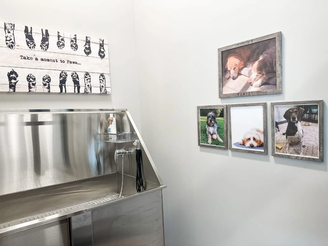 An indoor pet wash station with a stainless steel sink, a sign that says 'Take a moment to Paws...' with paw prints, and several framed pictures of dogs on the wall.