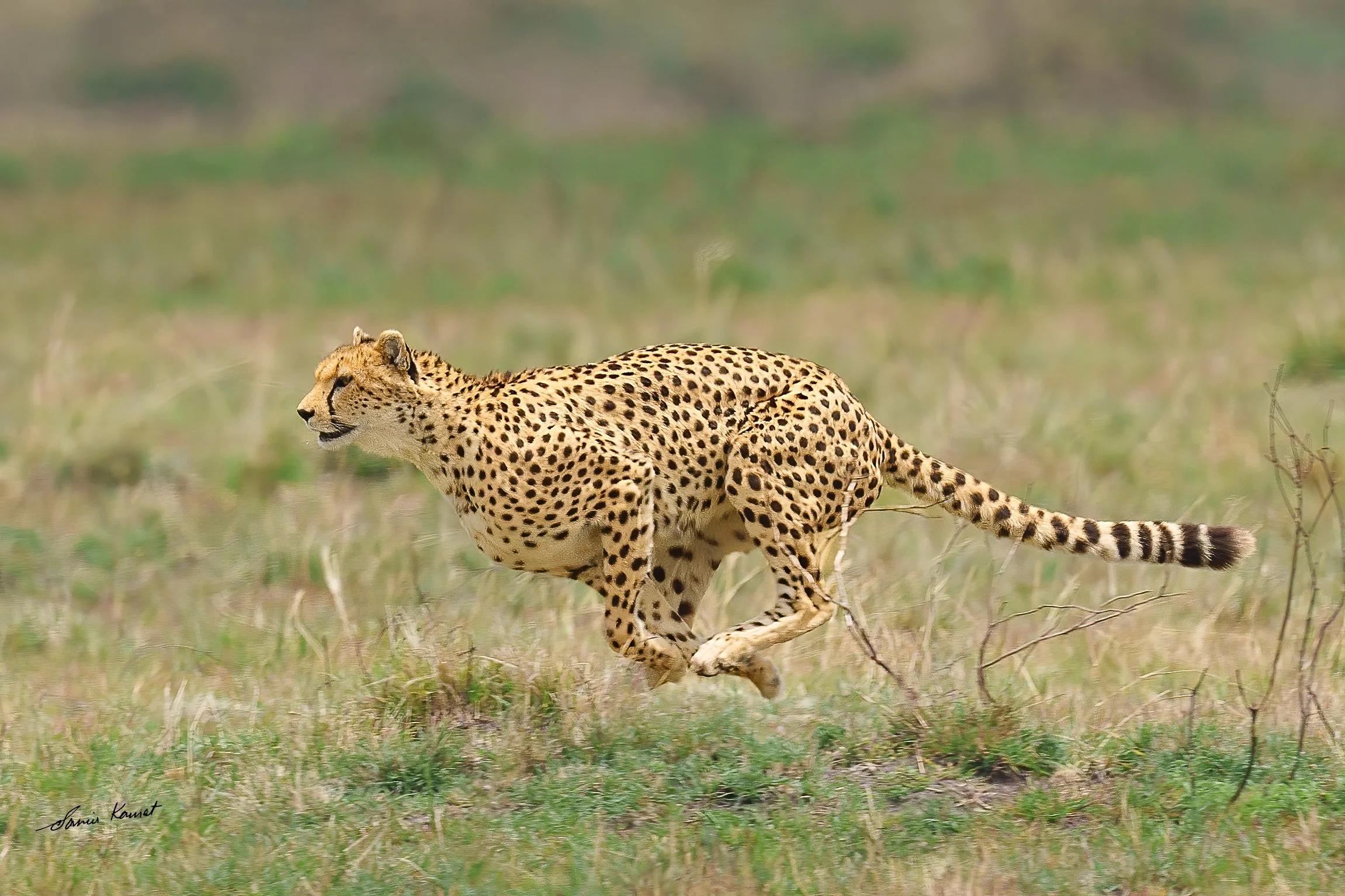 20240903-_A117180-Edit-Edit.jpg