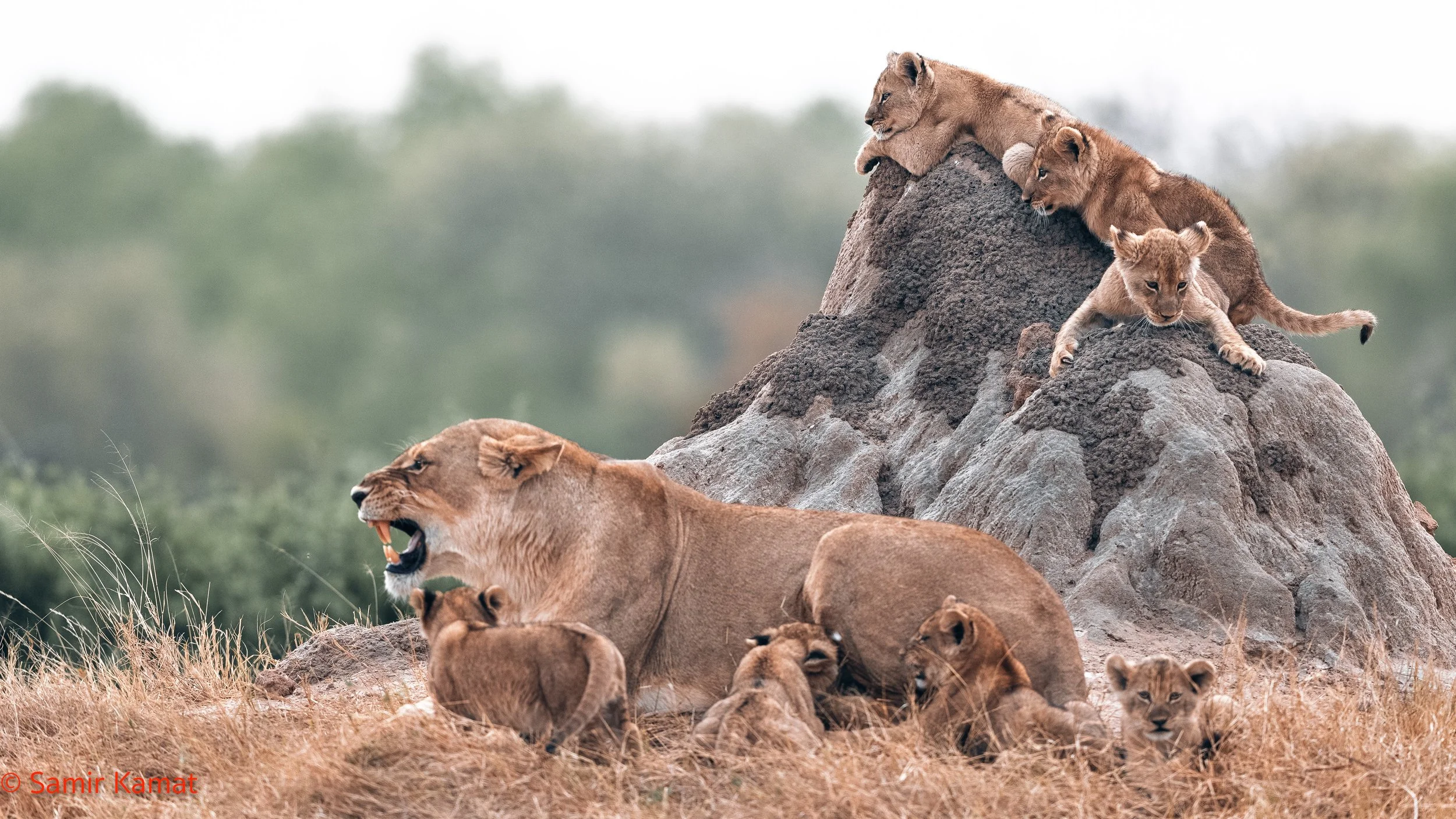 Hwange National Park