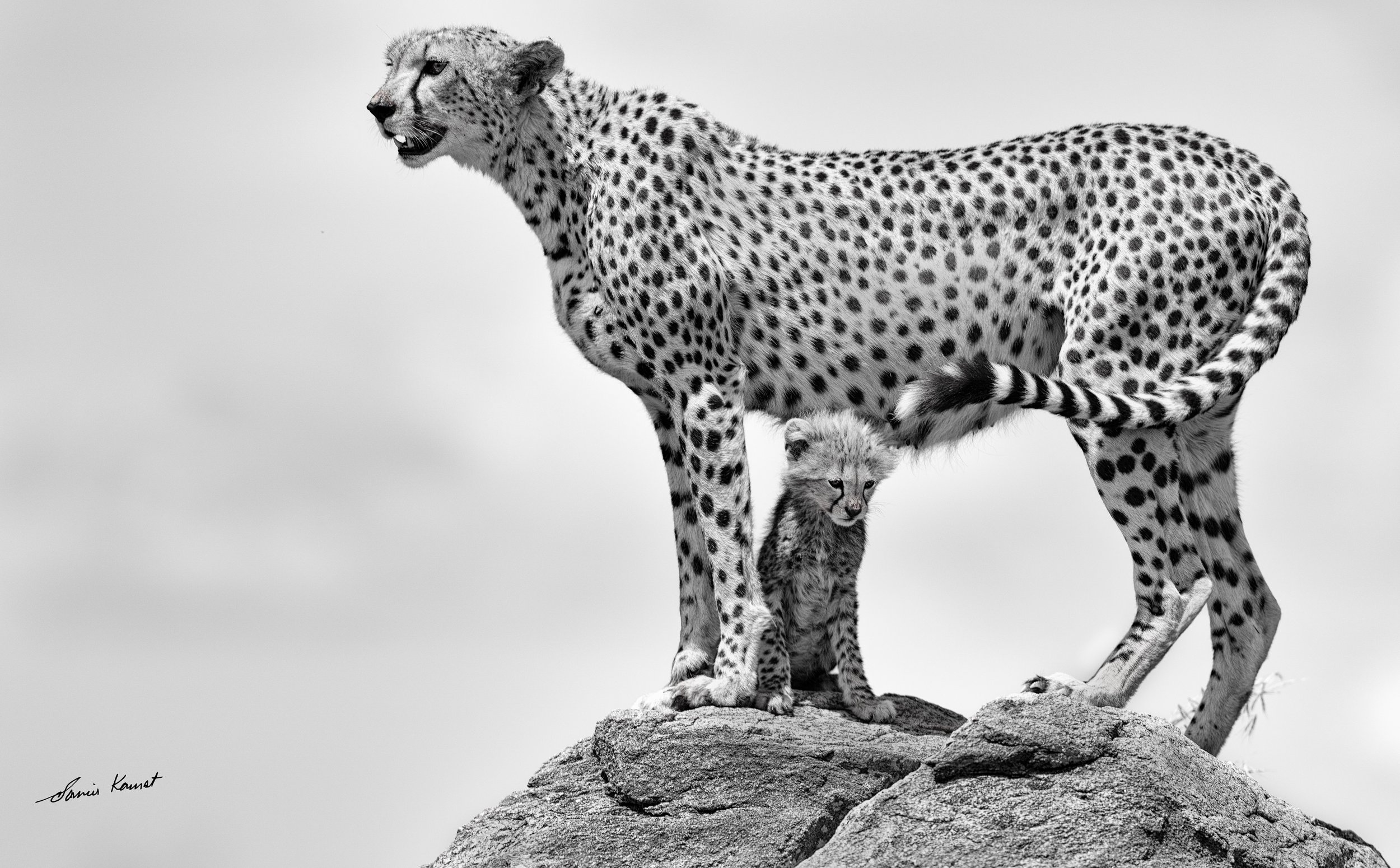 20250430-_A228740-Edit-4.jpg