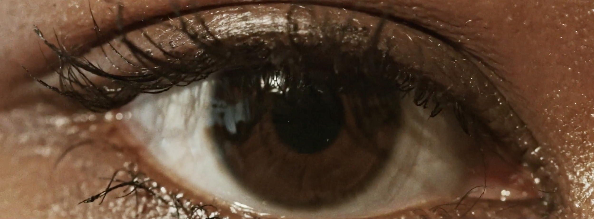 Close-up of a human eye with visible eyelashes, iris, and pupil.