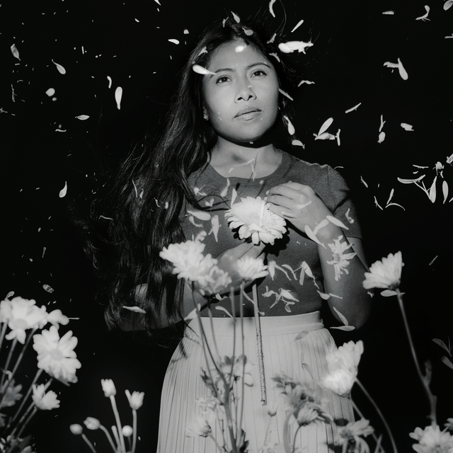 A woman with long hair holding a flower surrounded by falling petals or confetti, with a dark background.