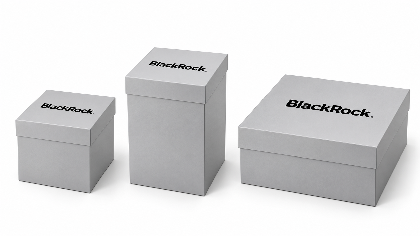 BlackRock Custom Silver Gift Boxes — Small, Medium Tall and Large Square
