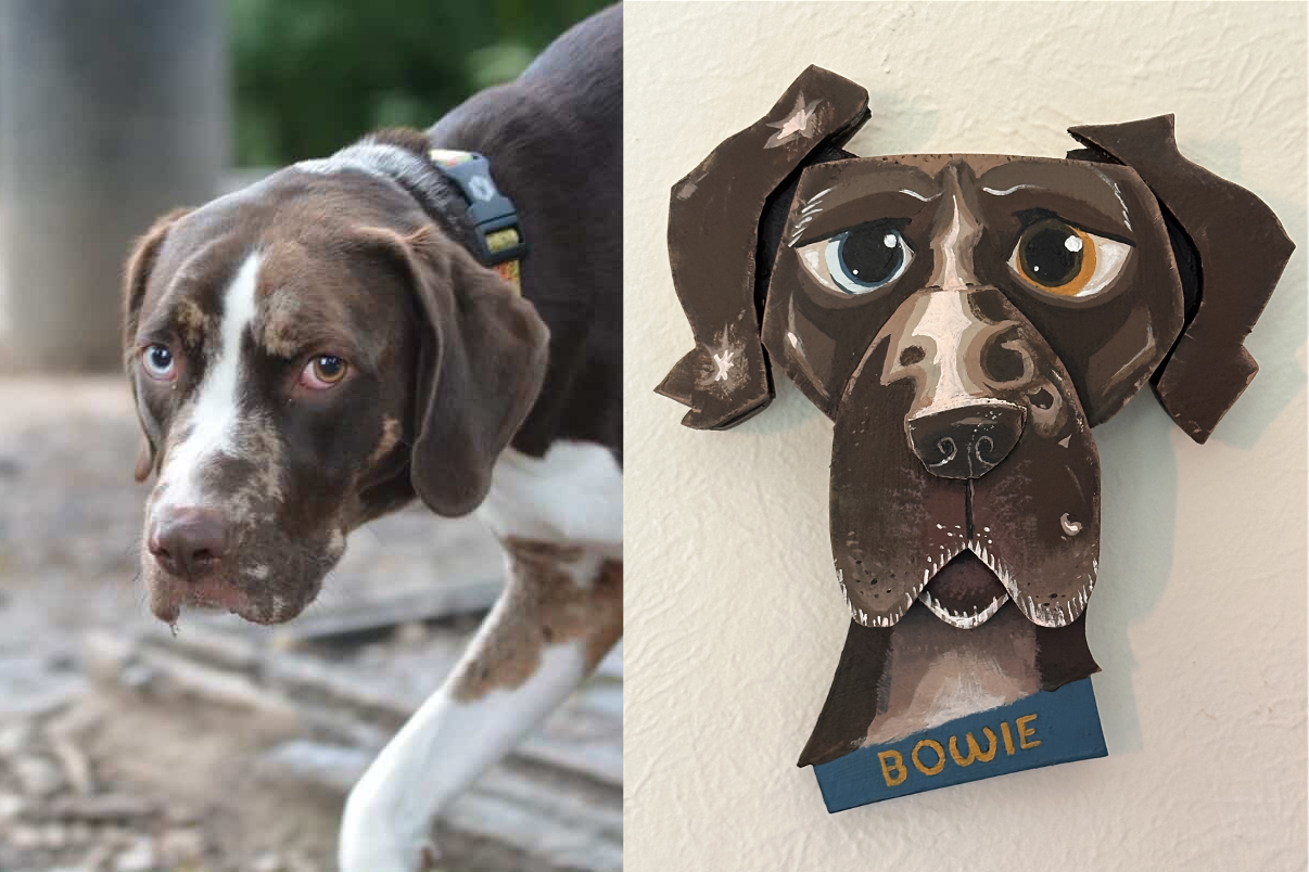 BOWIE.png