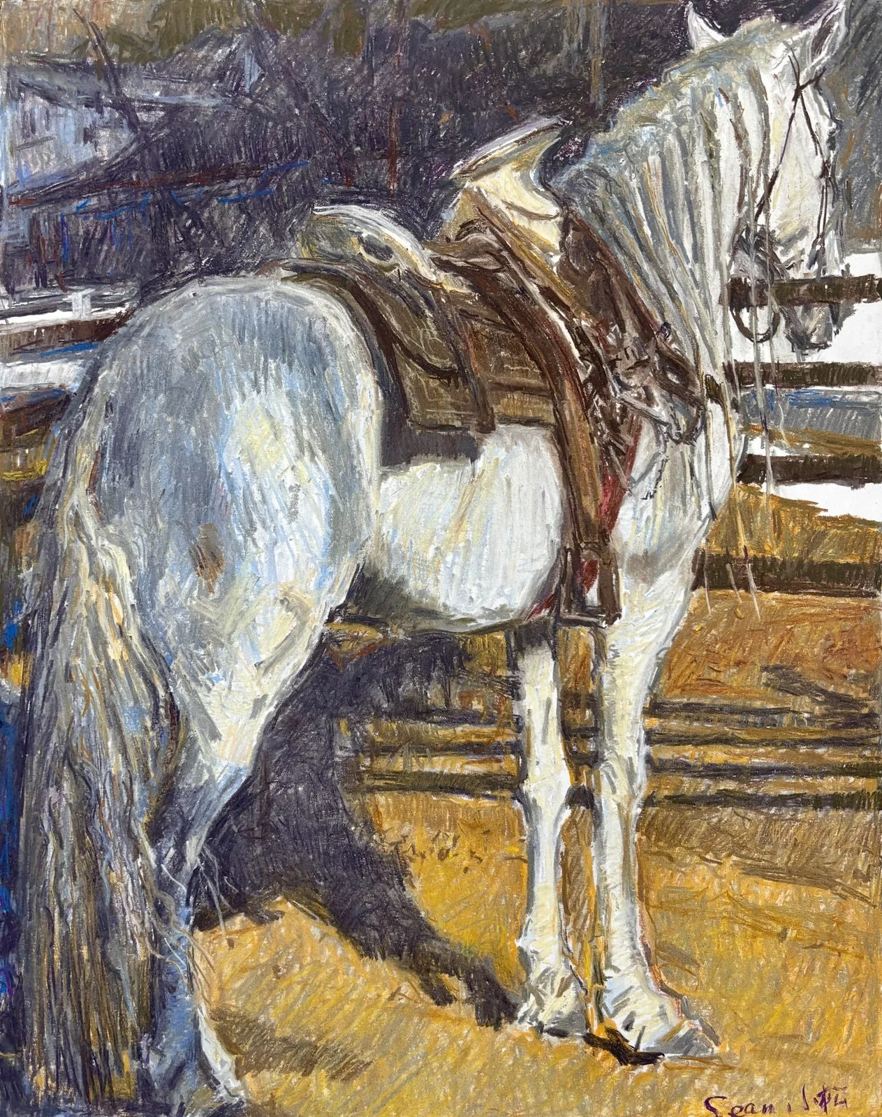 horse-02.jpg
