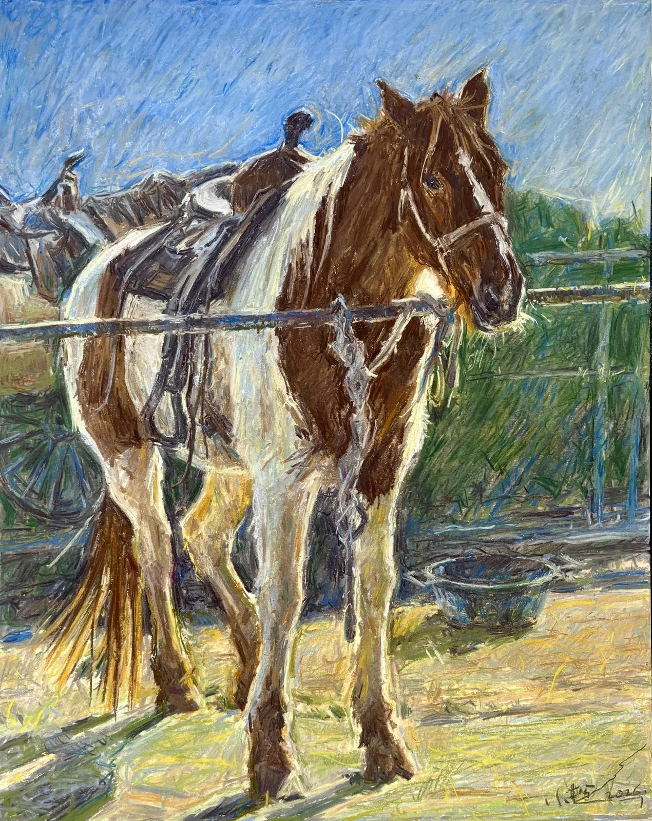 horse-05.jpg