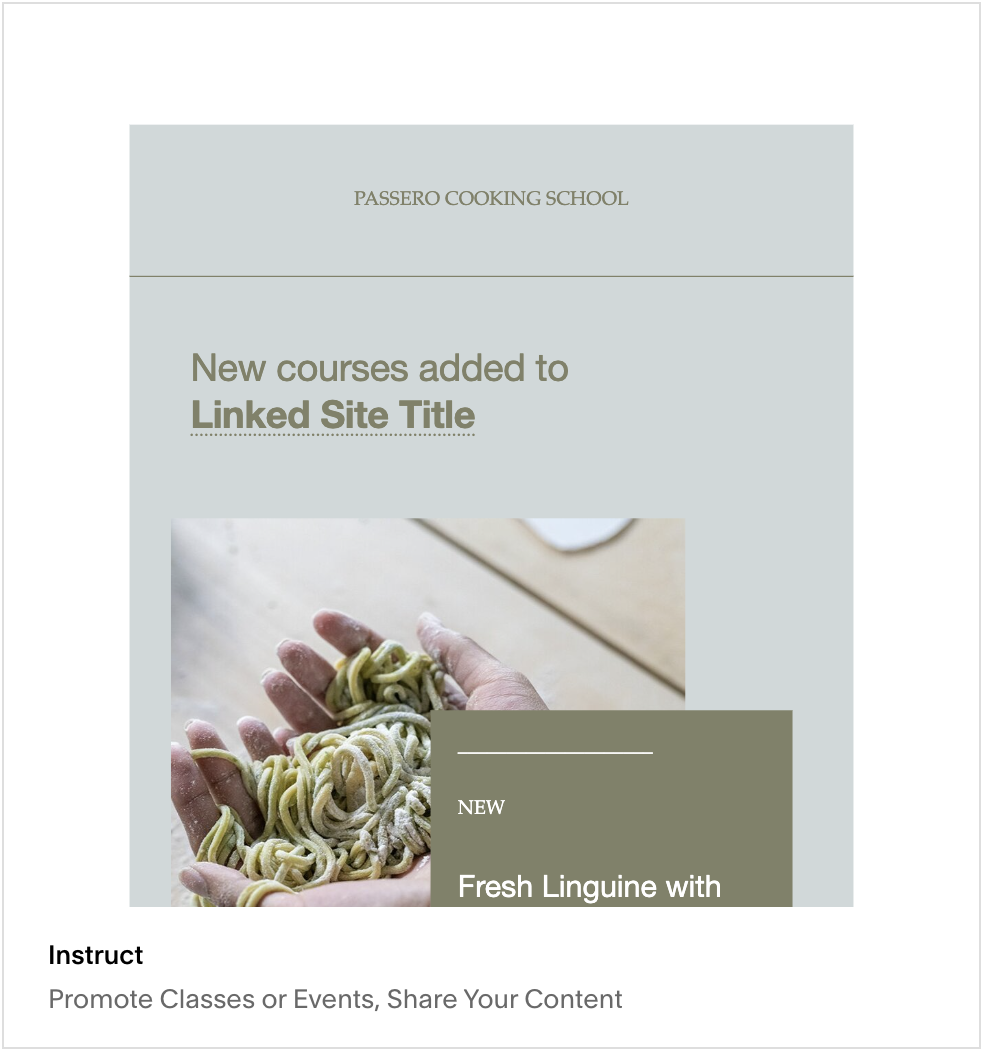 Shauna Kay Newsletter Template