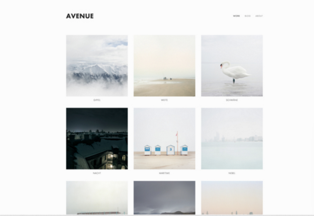 Squarespace portfolio