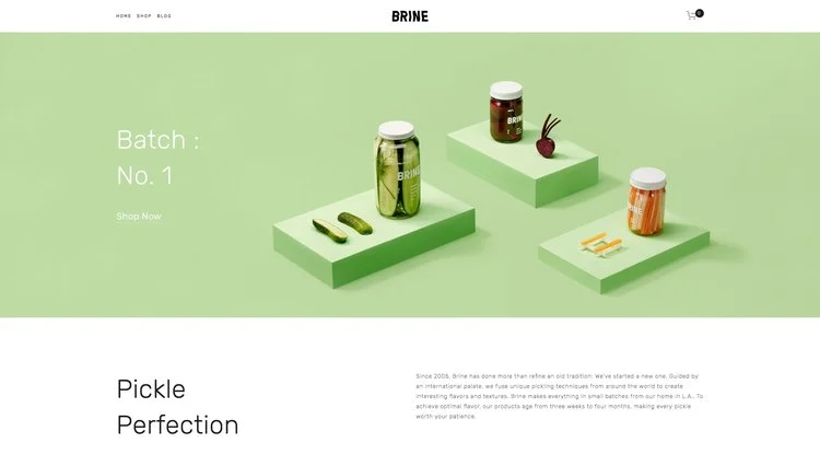 brine-demo-squarespace-com--2289x1300.jpg