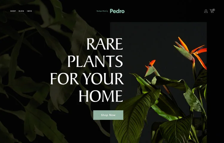 Pedro