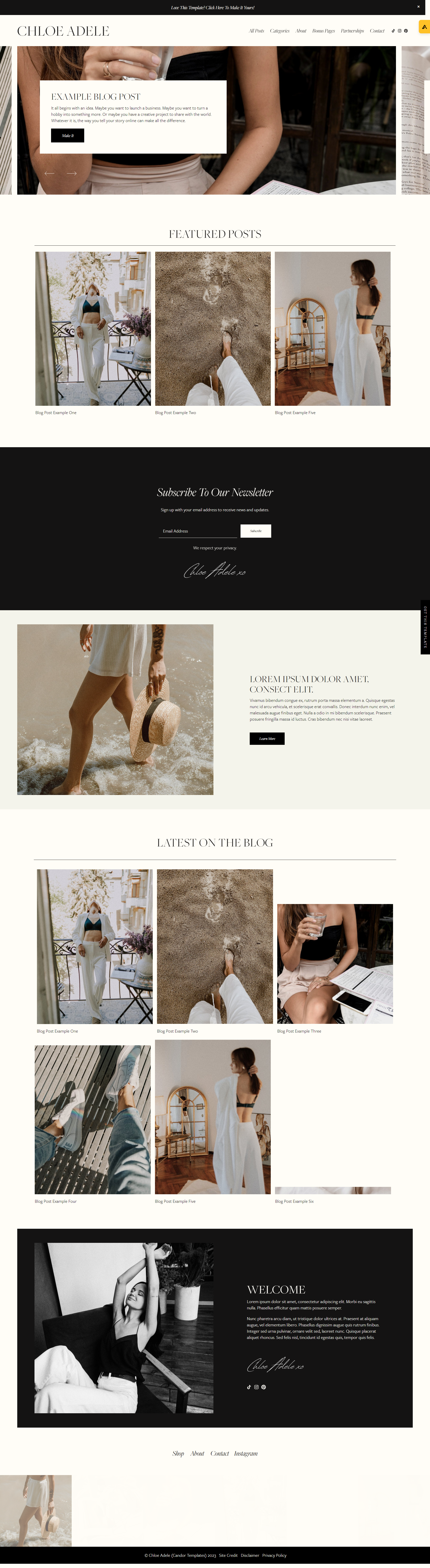 Chloe Adele by Candor Templates