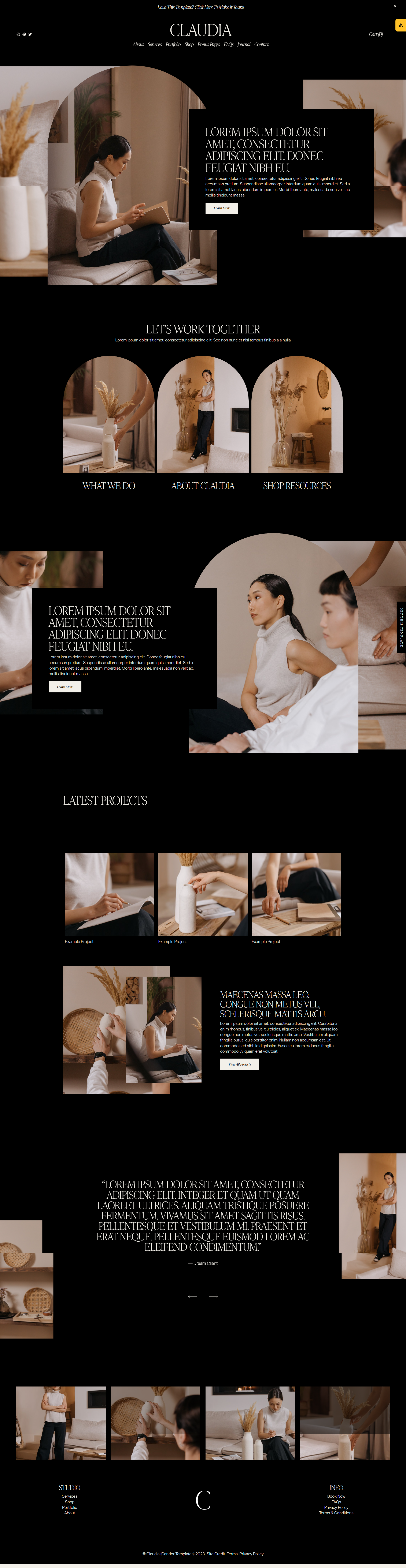 Claudia by Candor Templates