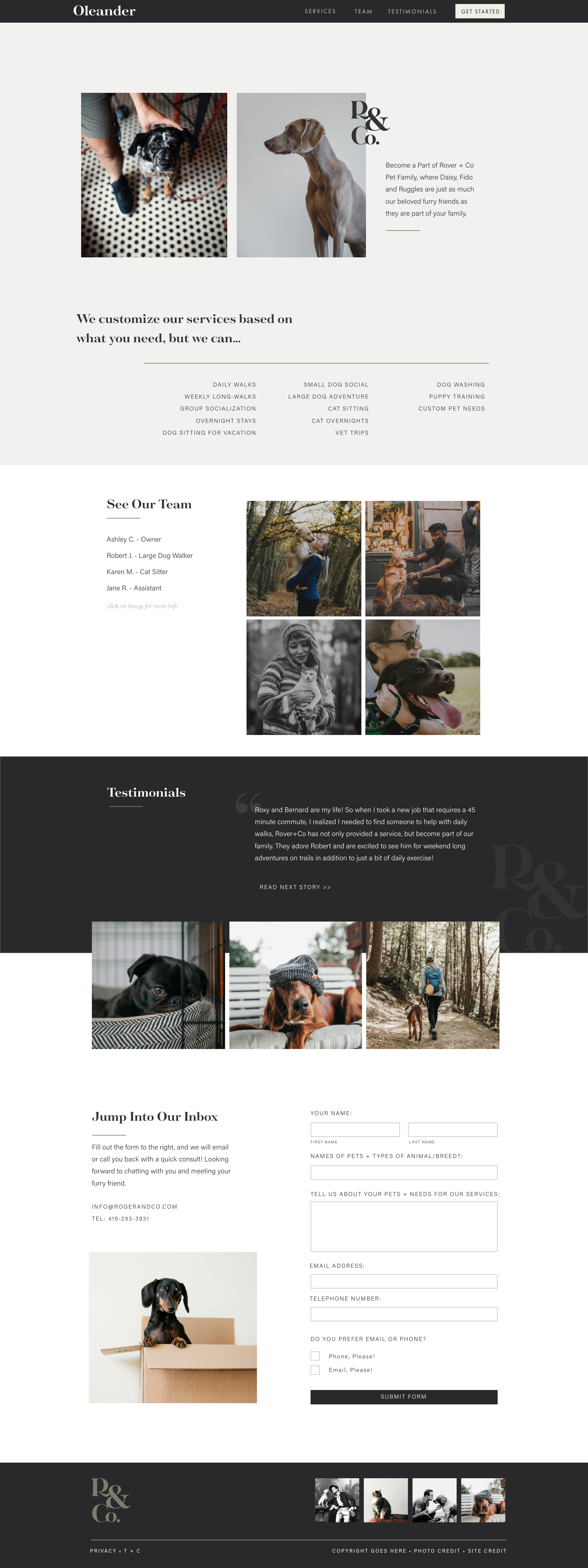 The Oleander by Meg Summerfield Studio