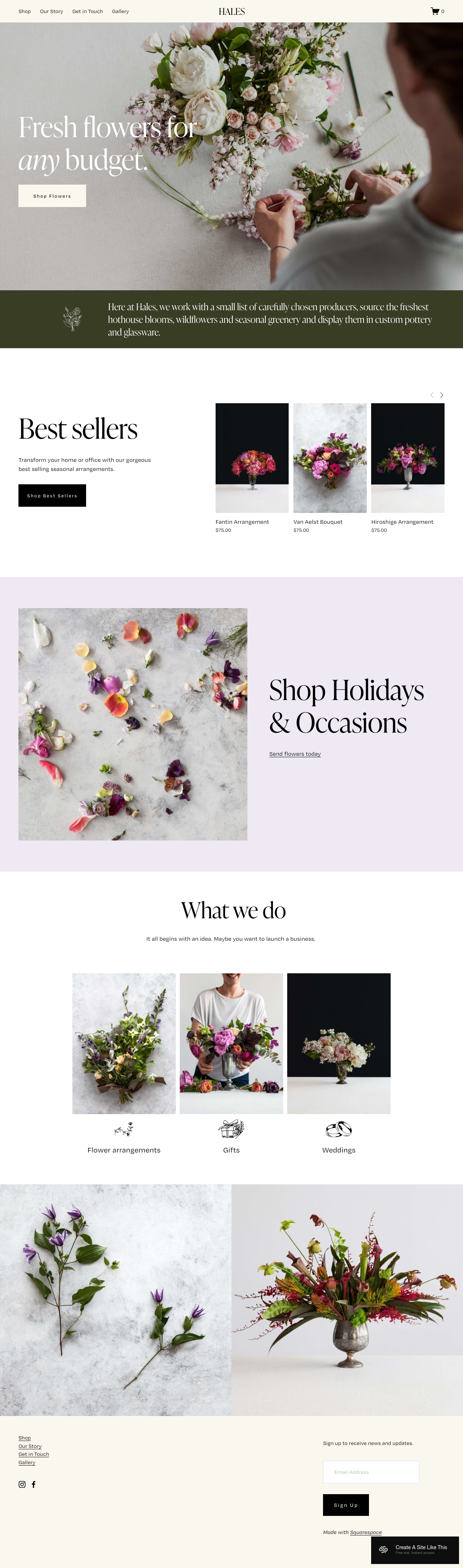 Hales Squarespace Template