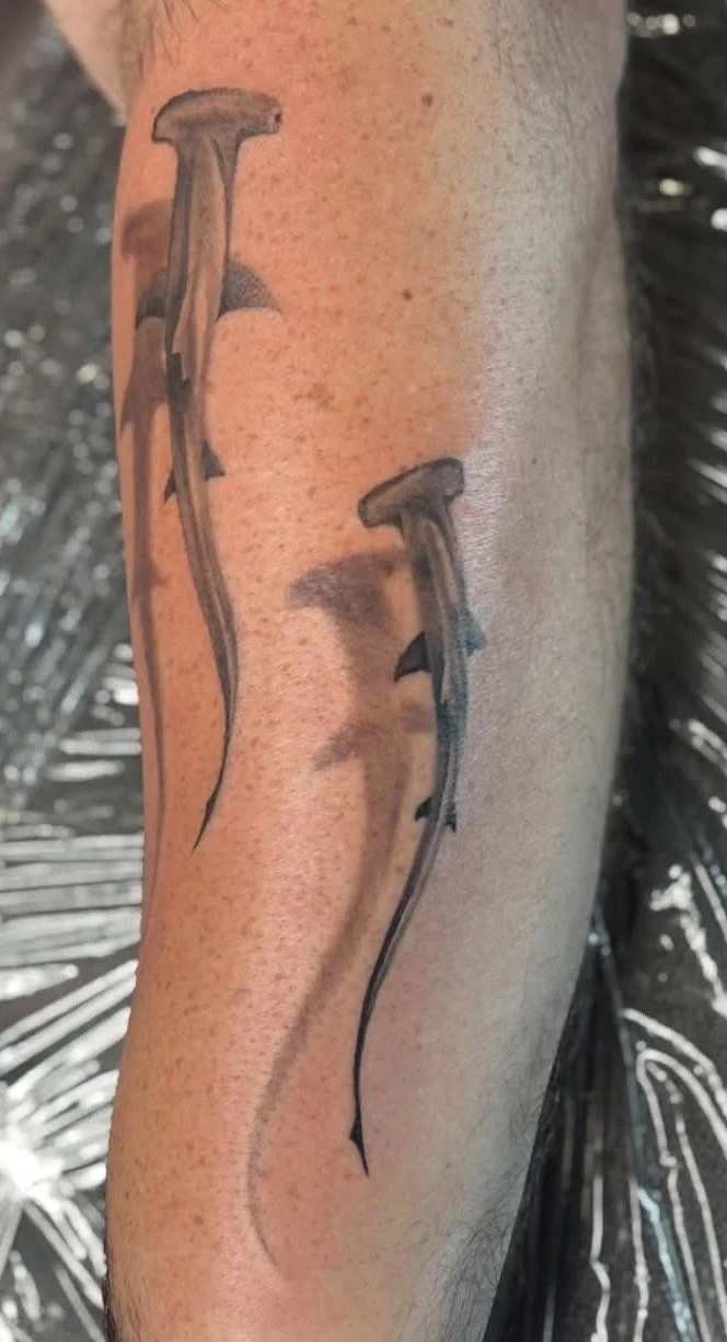 Black and grey realism hammerhead sharks tattoo on a forearm by Altered Tattoo Co