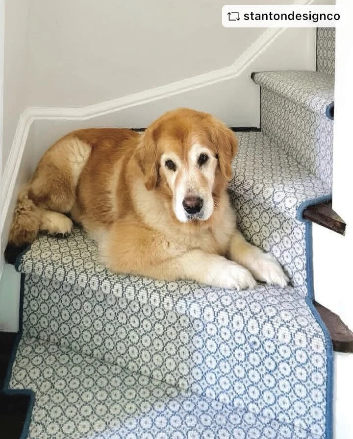 Some staircases are simply meant to be admired. Jacqueline&rsquo;s delicate circular motif and soft blue-and-ivory palette bring a graceful rhythm to each step, creating a look that feels charming, timeless, and beautifully at home. And when a belove