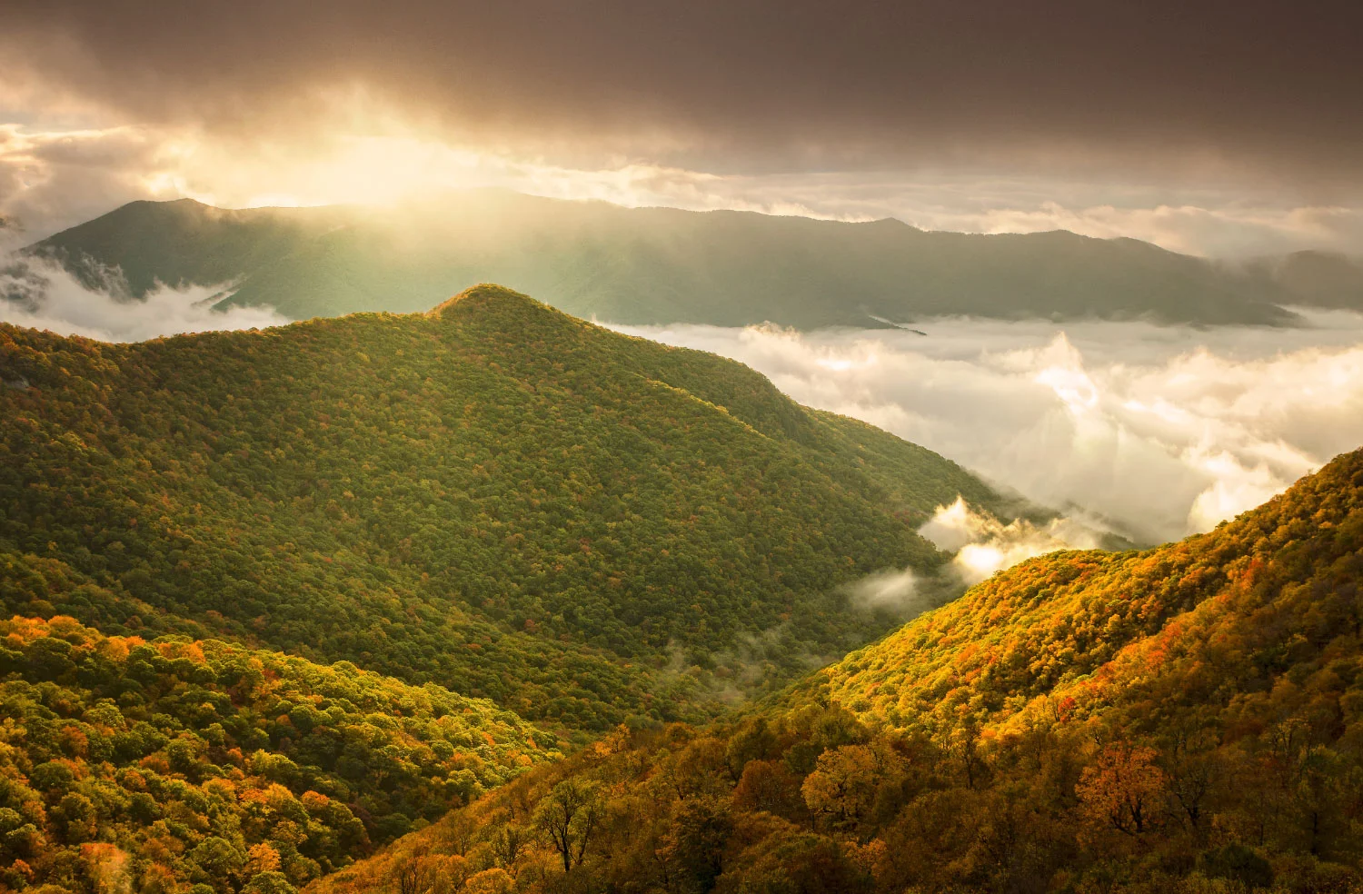 Fall foliage on the Blue Ridge Parkway