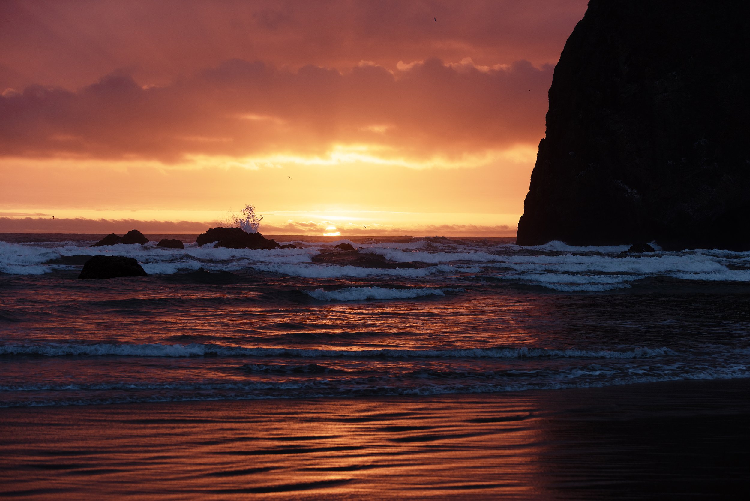 PINNELL-050123-MOUNT-HOOD-CANNON-BEACH-2844.jpg