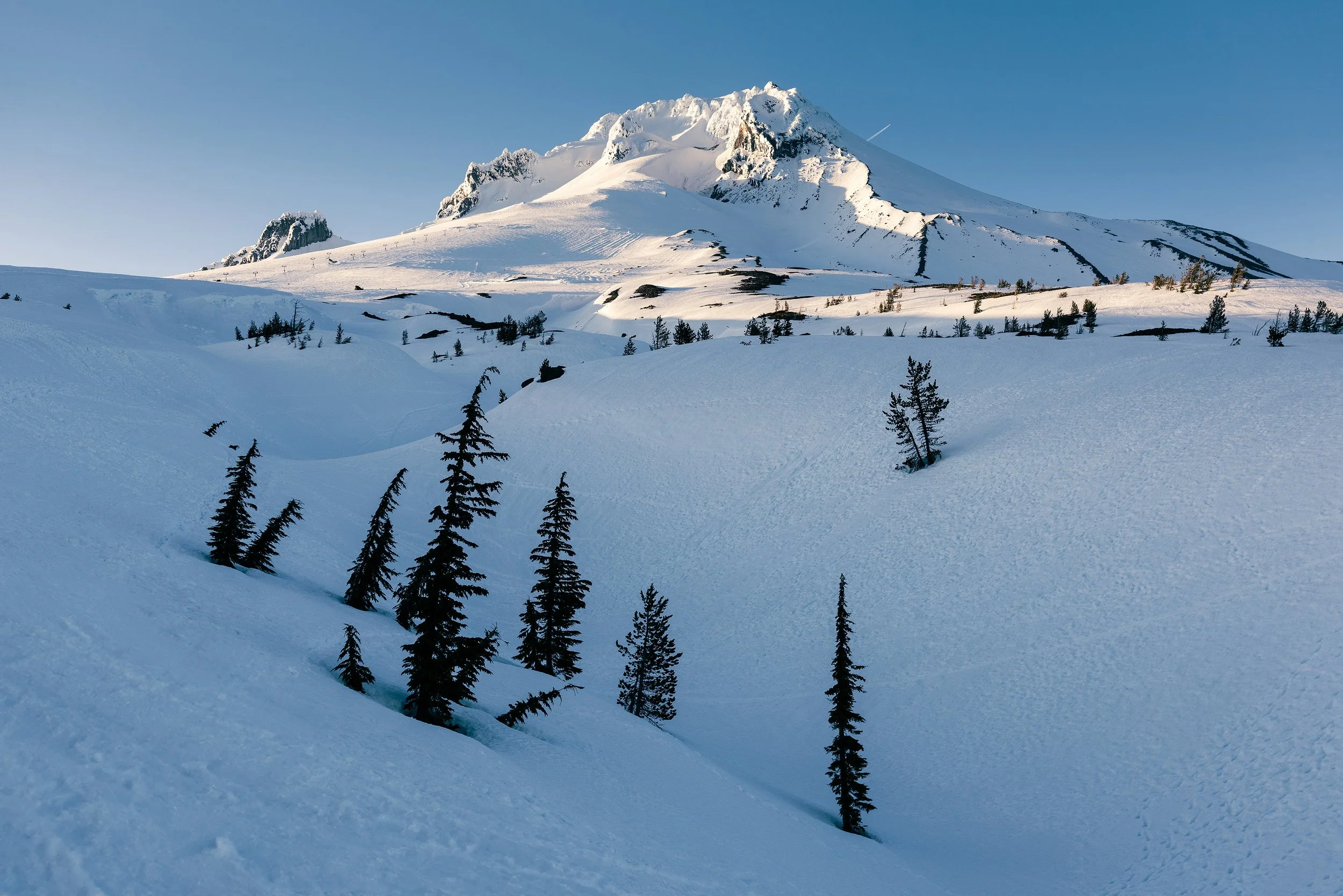 PINNELL-042923-PORTLAND-MT-HOOD-0445.jpg