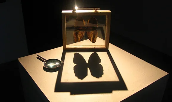 9-Museo-Migratoio-Enlace.webp