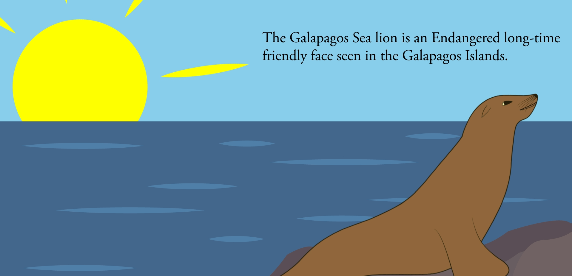 Galapagos Sea Lions