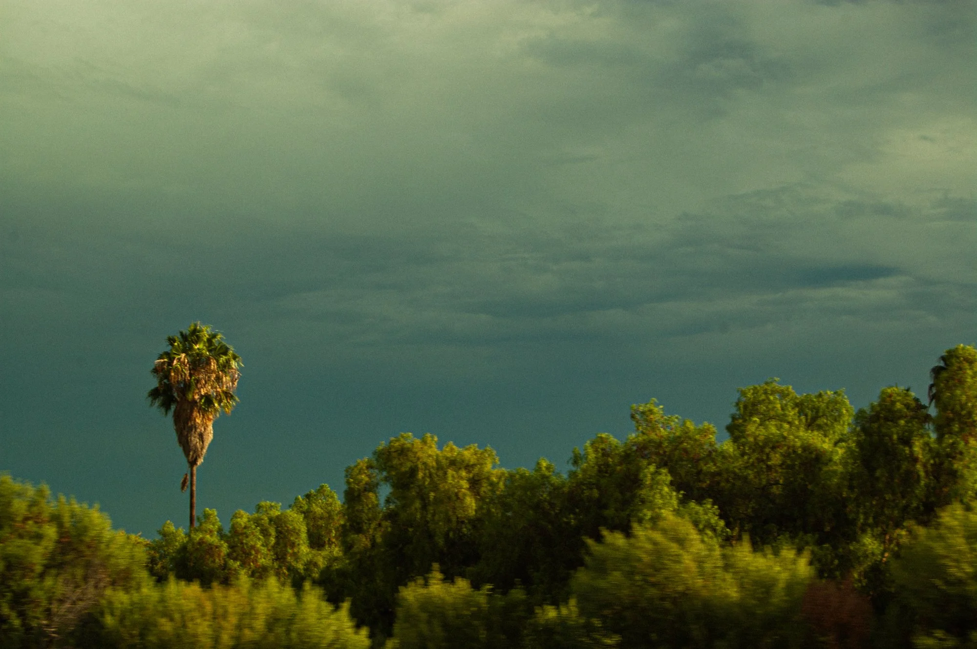 A motorcyclist riding through a lush green landscape with trees, overlooking a dramatic cloudy sky.