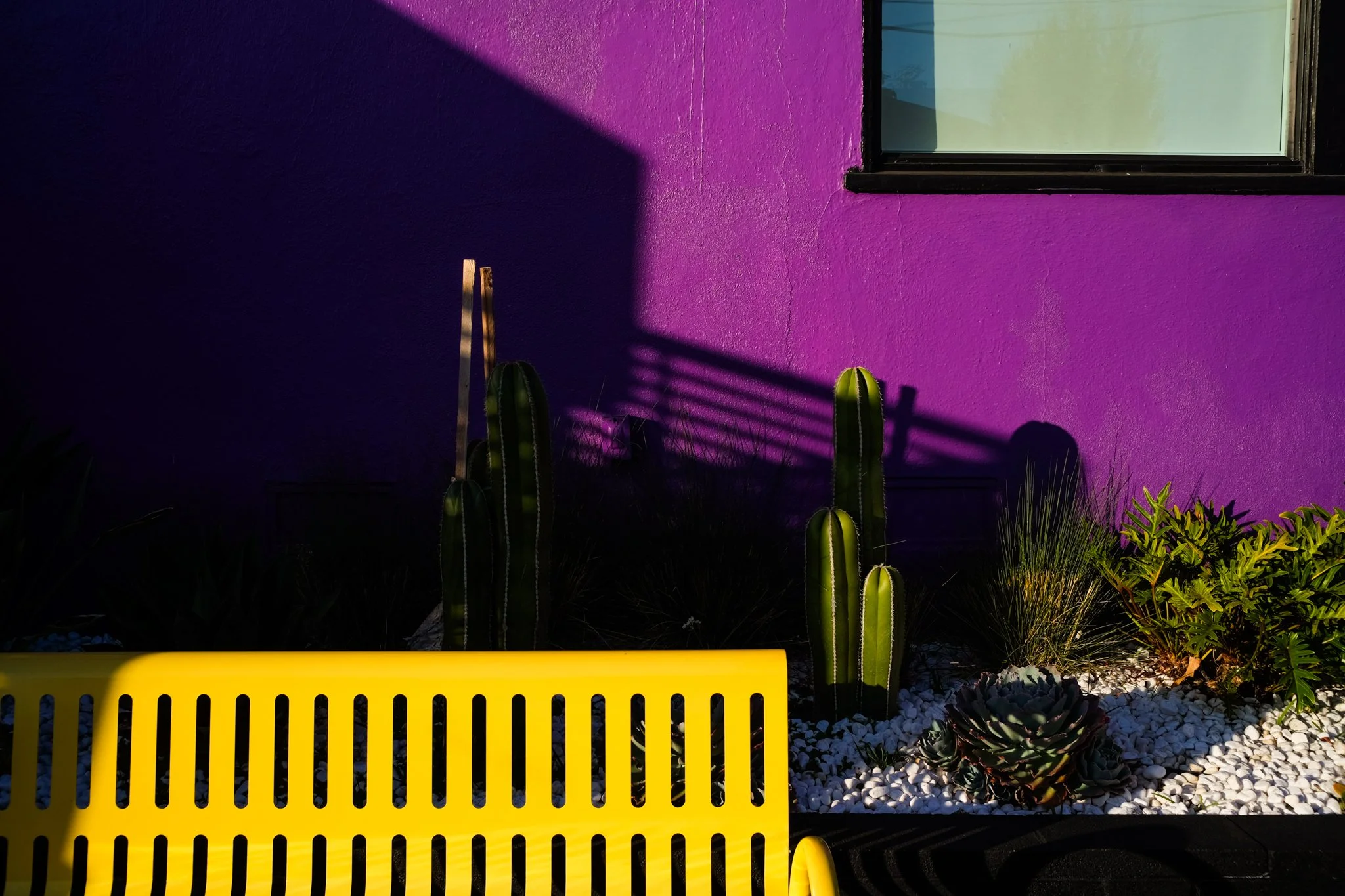 Photo of a purple wall with a window, cactus plants, a yellow slatted fence, and white gravel ground, with sunlight casting shadows.