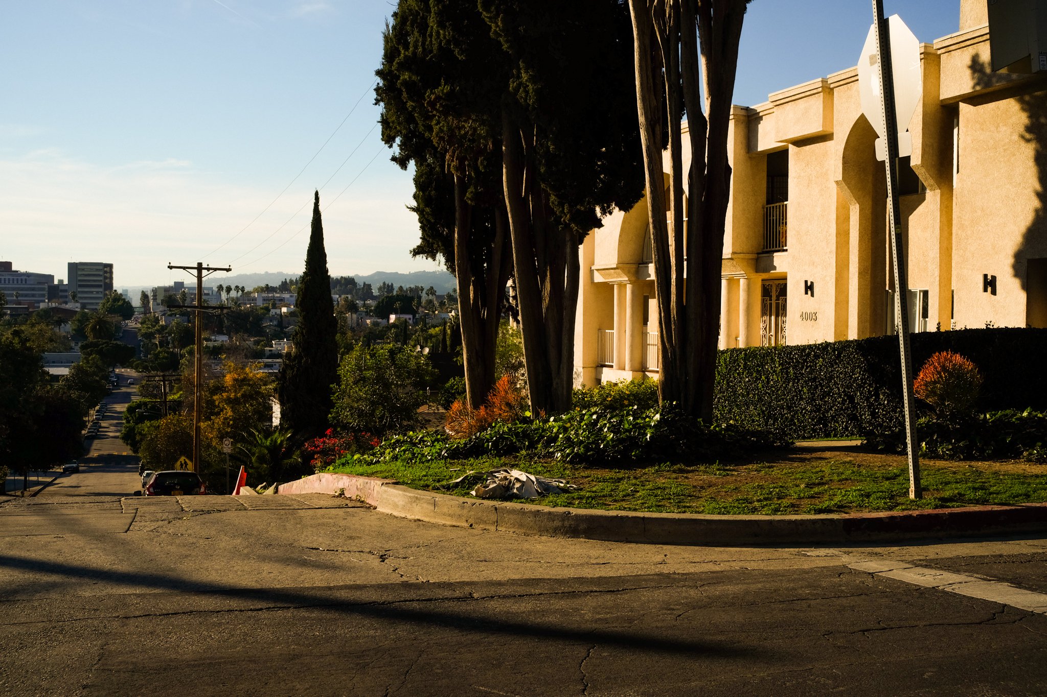 Sunlit residential street with apartment buildings, large trees, and a distant view of a city skyline under a clear sky.