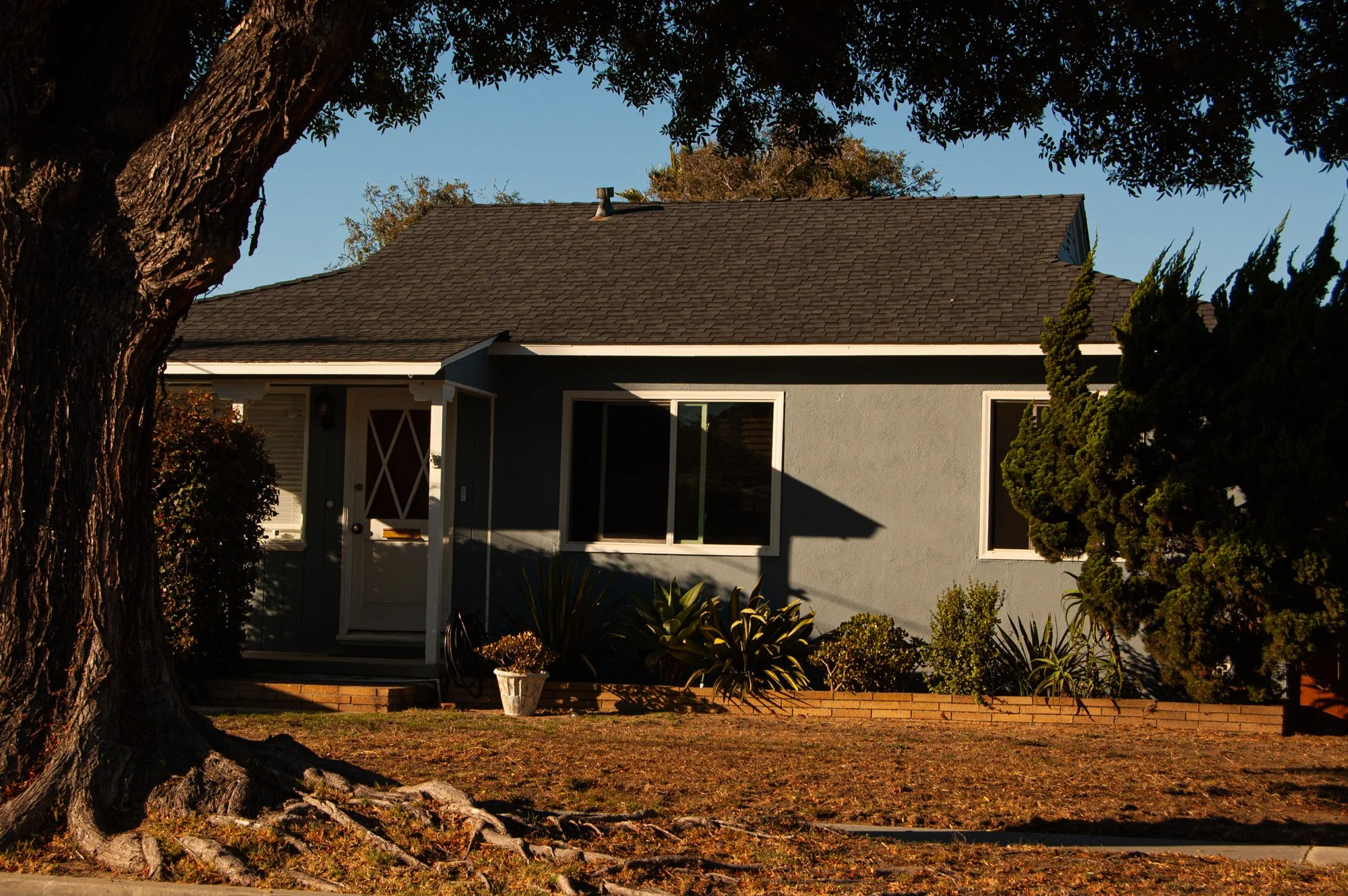 Front view of a house with a large tree in the foreground, sunlight casting shadows, and surrounding greenery.